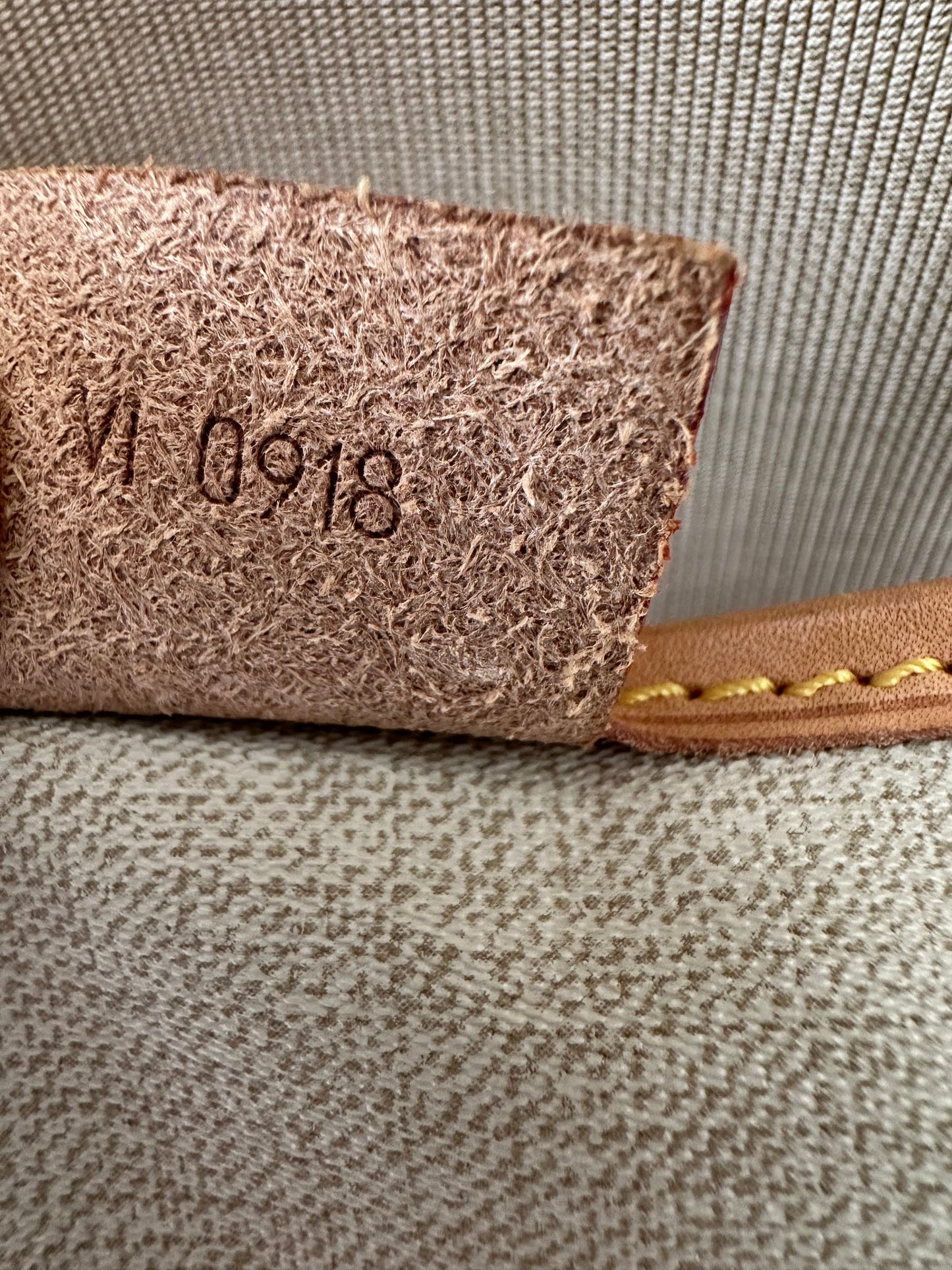 Louis Vuitton Excursion