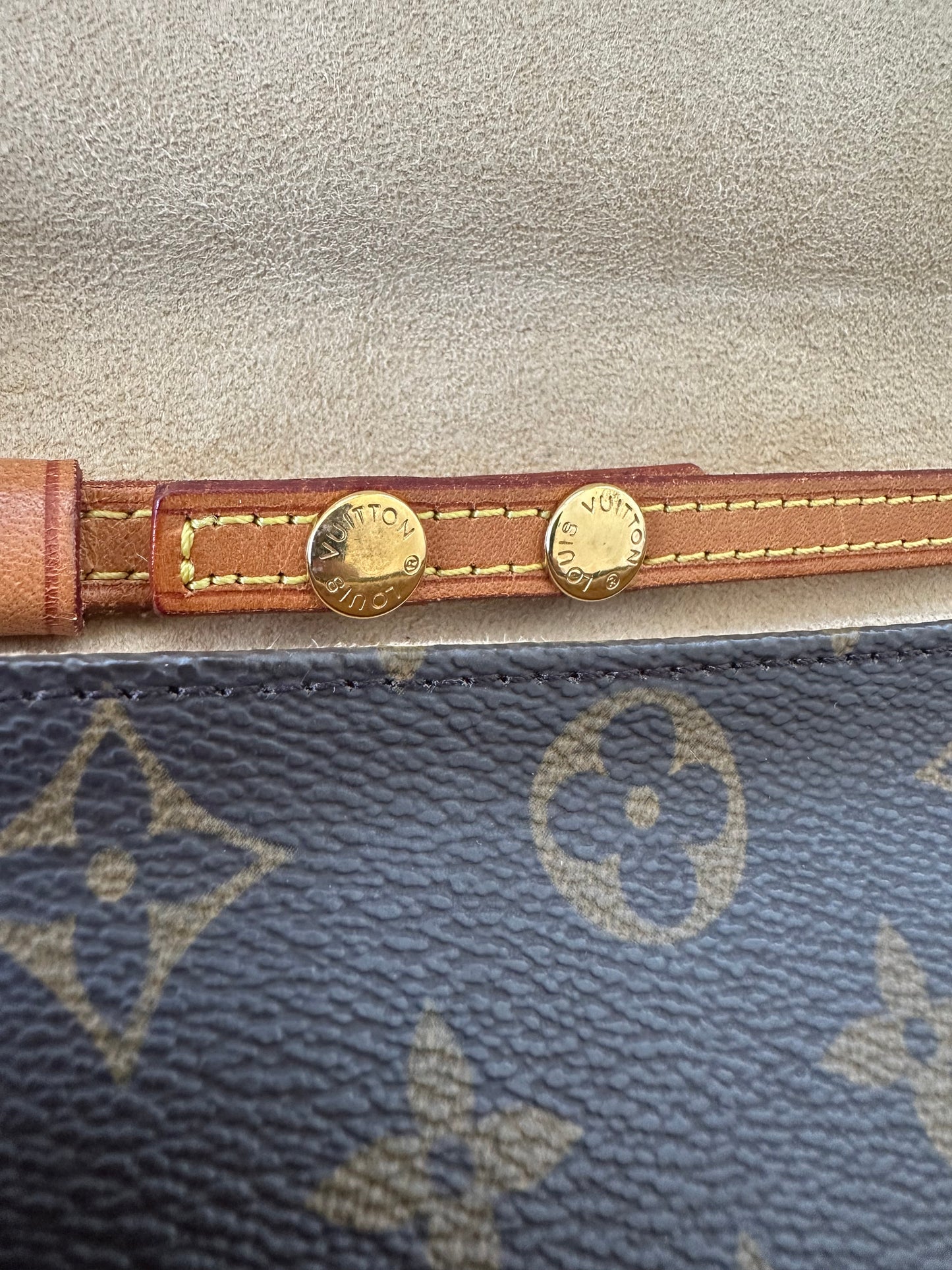 Louis Vuitton Pochette Twin GM