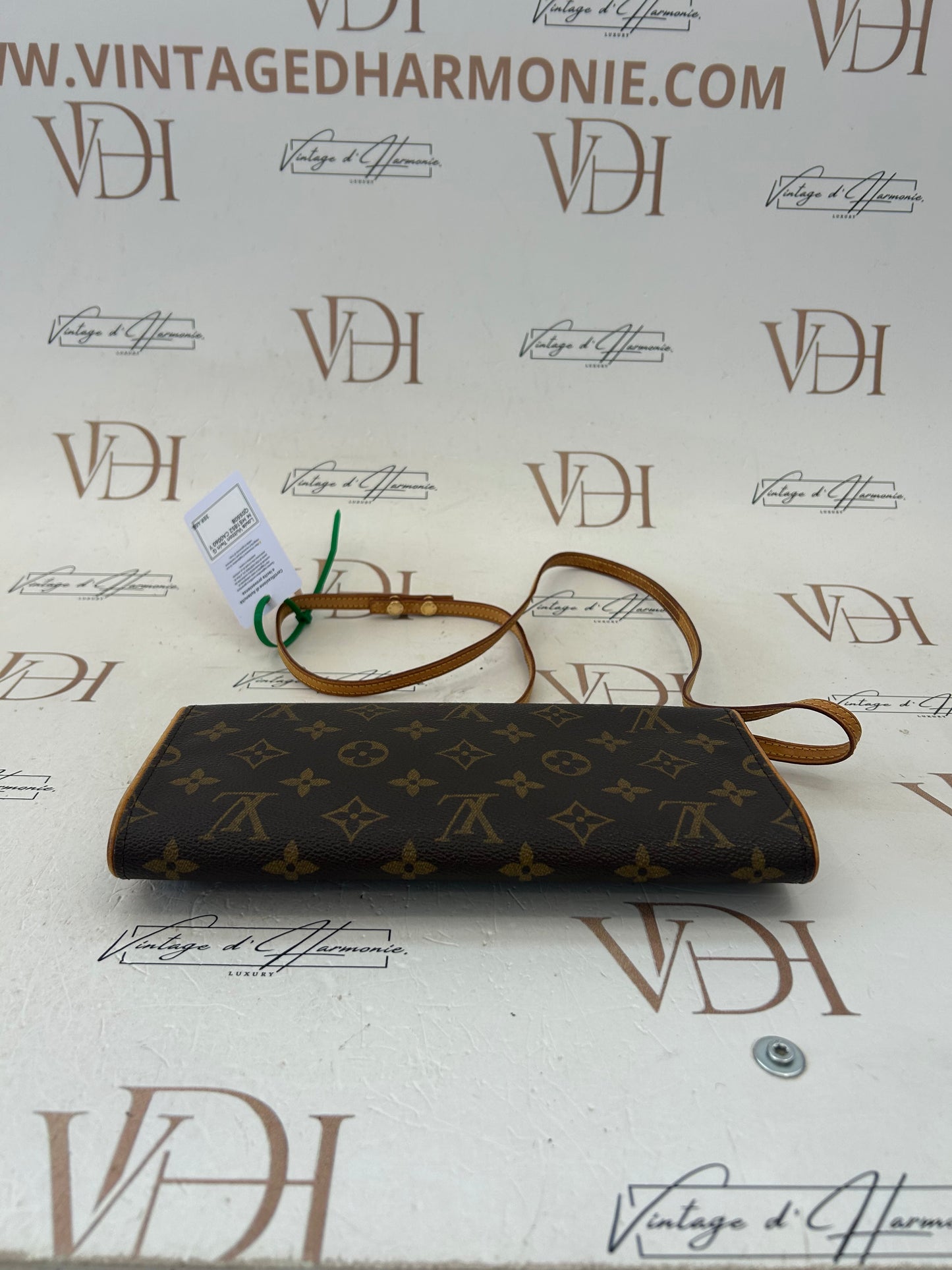 017225 - Louis Vuitton Twin GM