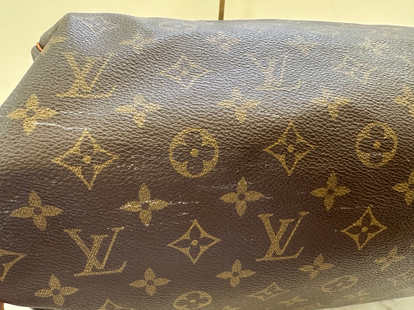Louis Vuitton Speedy 35