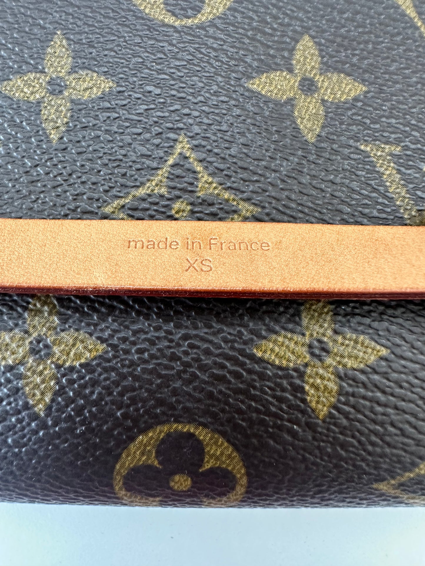 Louis Vuitton Florentine