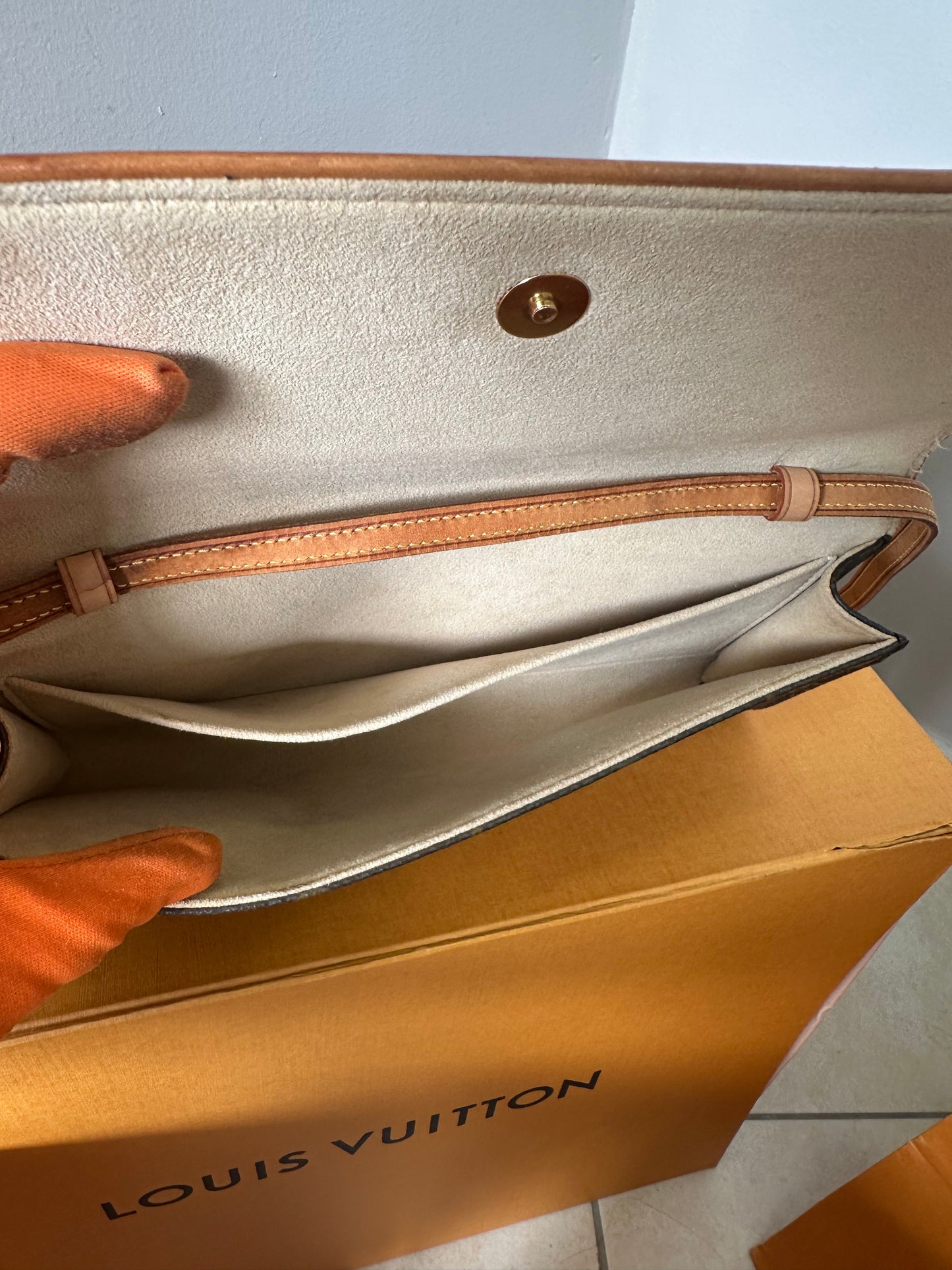 Louis Vuitton Pochette Twin GM