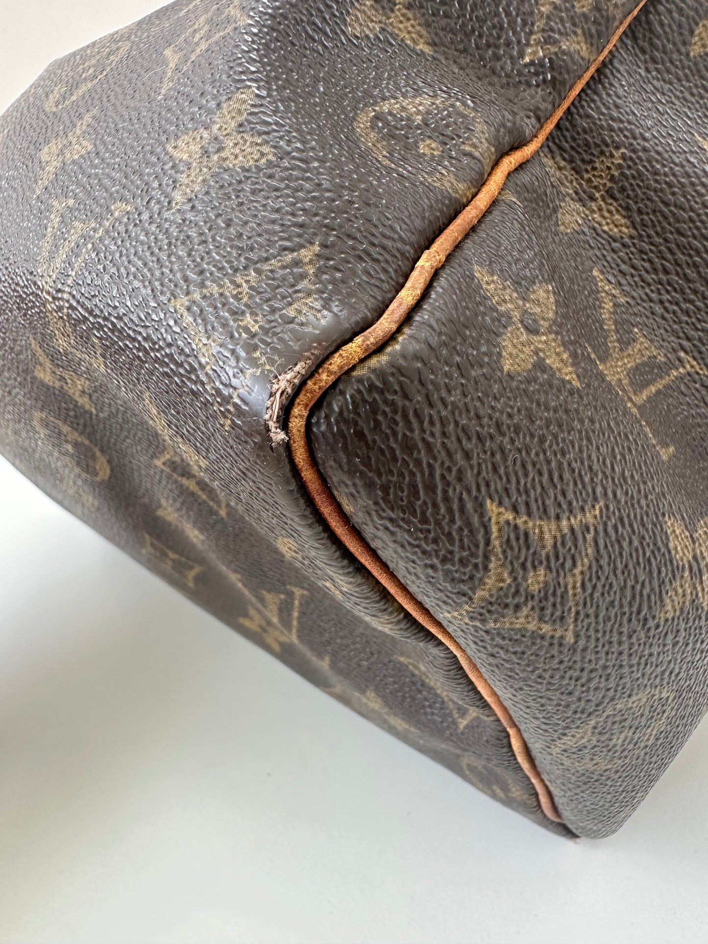 Louis Vuitton Speedy 25