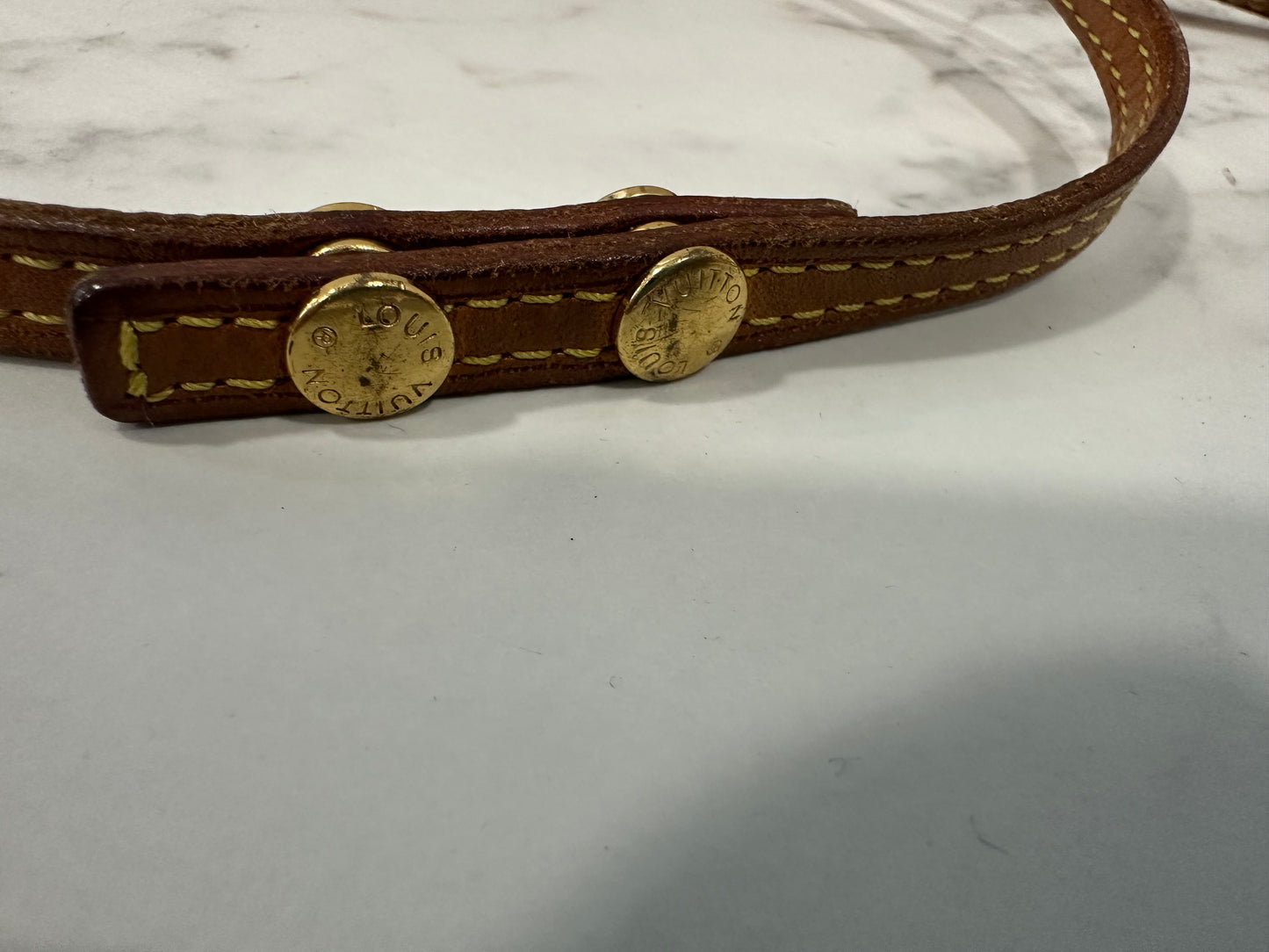 Louis Vuitton Pochette Twin GM