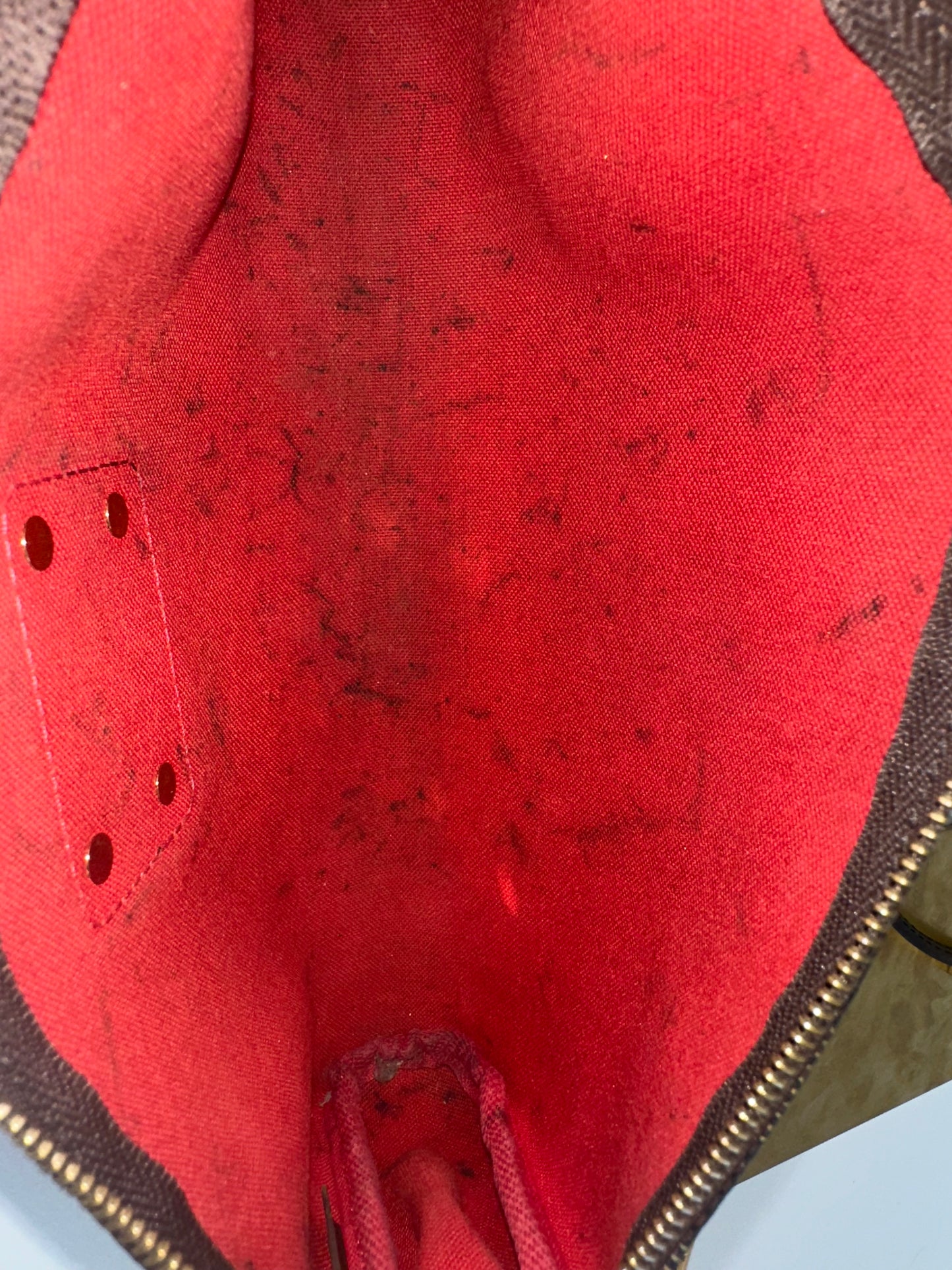 Louis Vuitton Eva