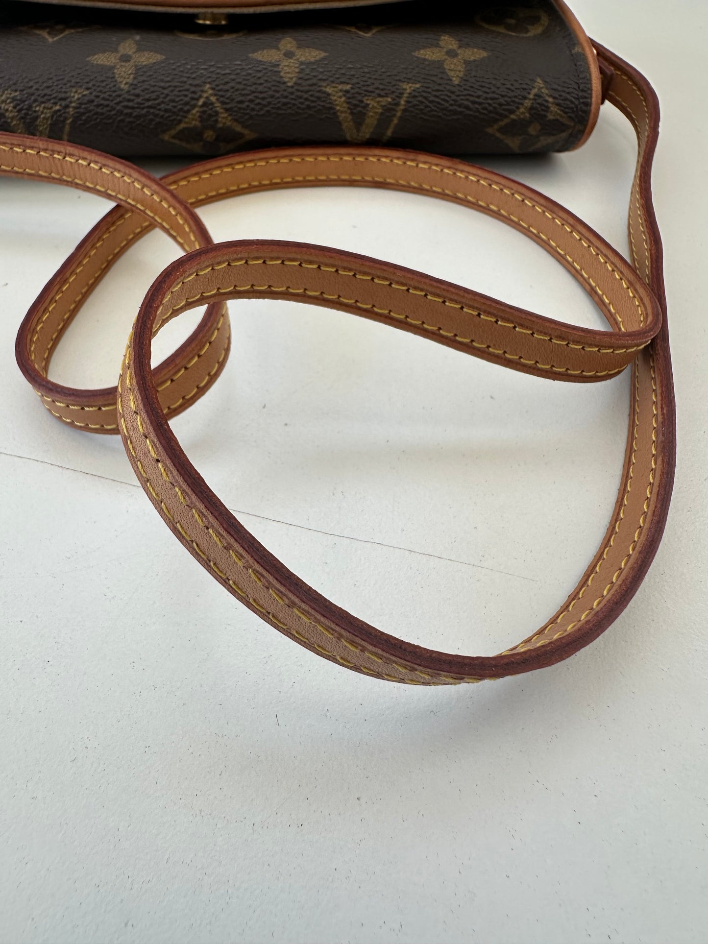 Louis Vuitton Pochette Twin PM