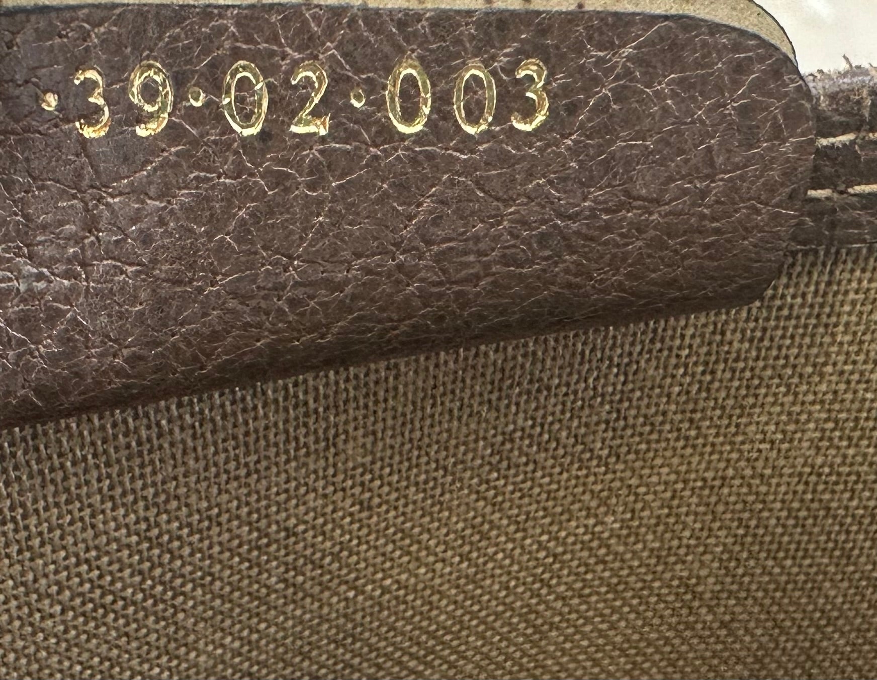 Gucci Brown