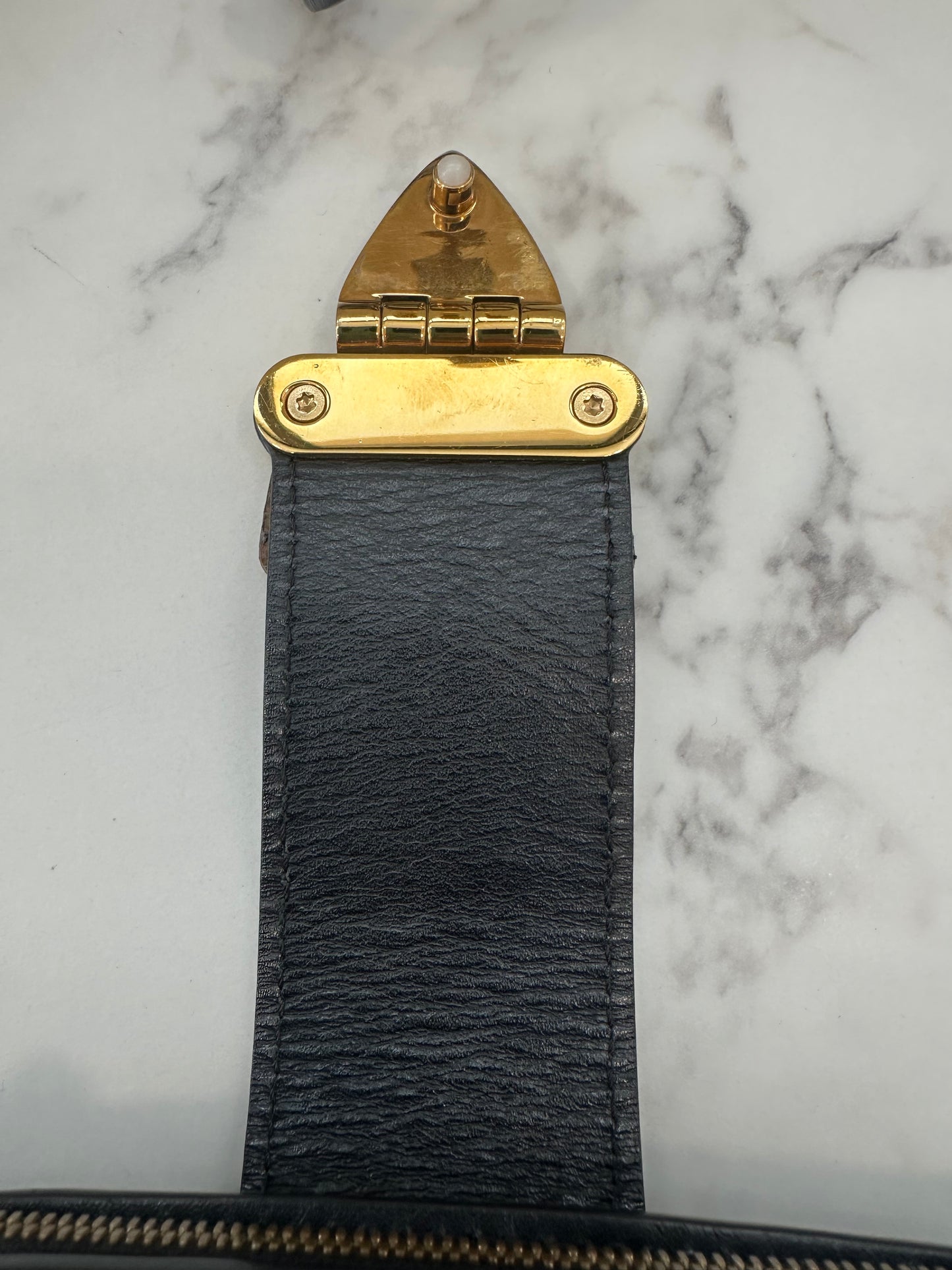 Louis Vuitton Trunck Clutch
