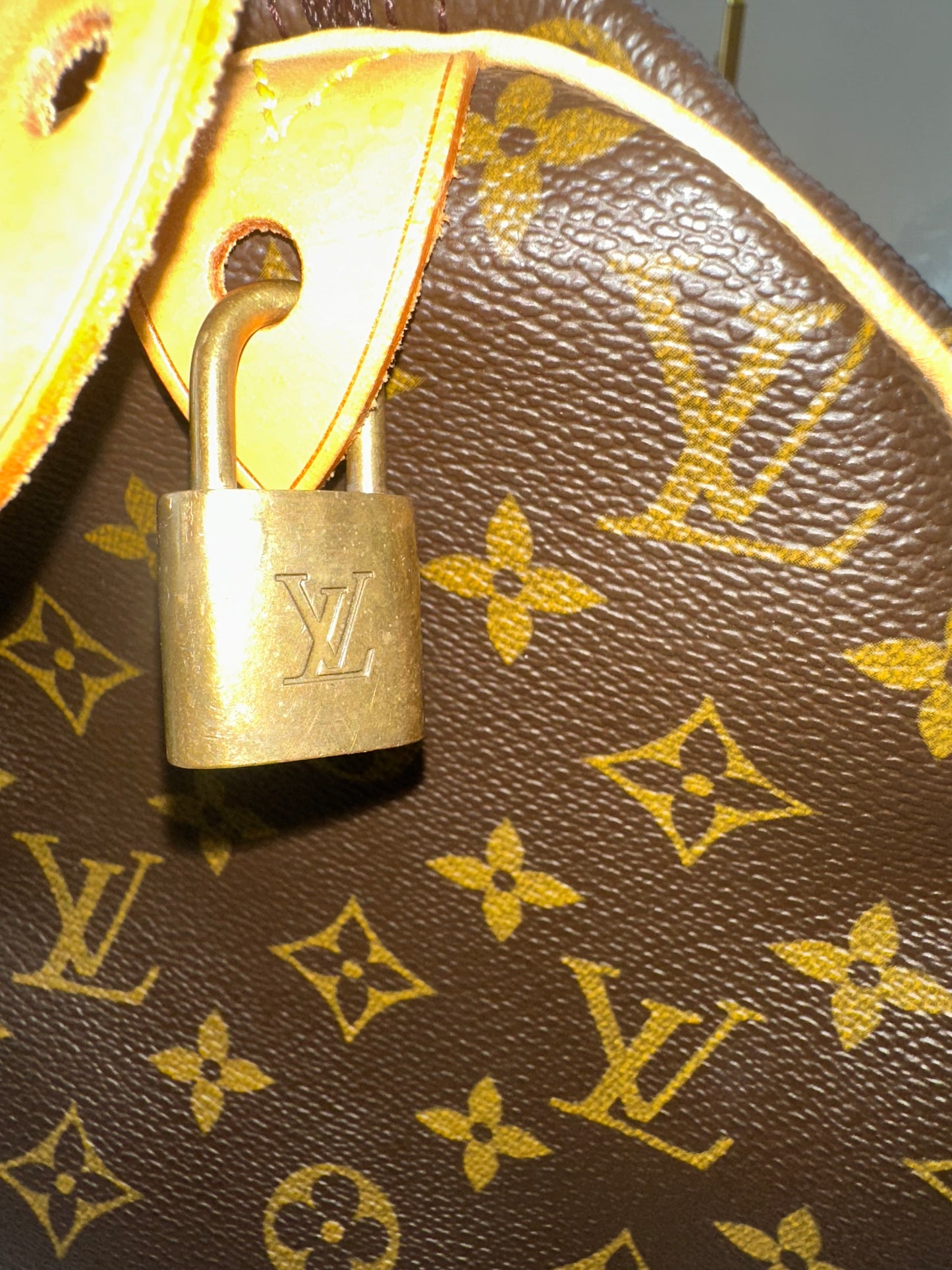 Louis Vuitton Speedy 30