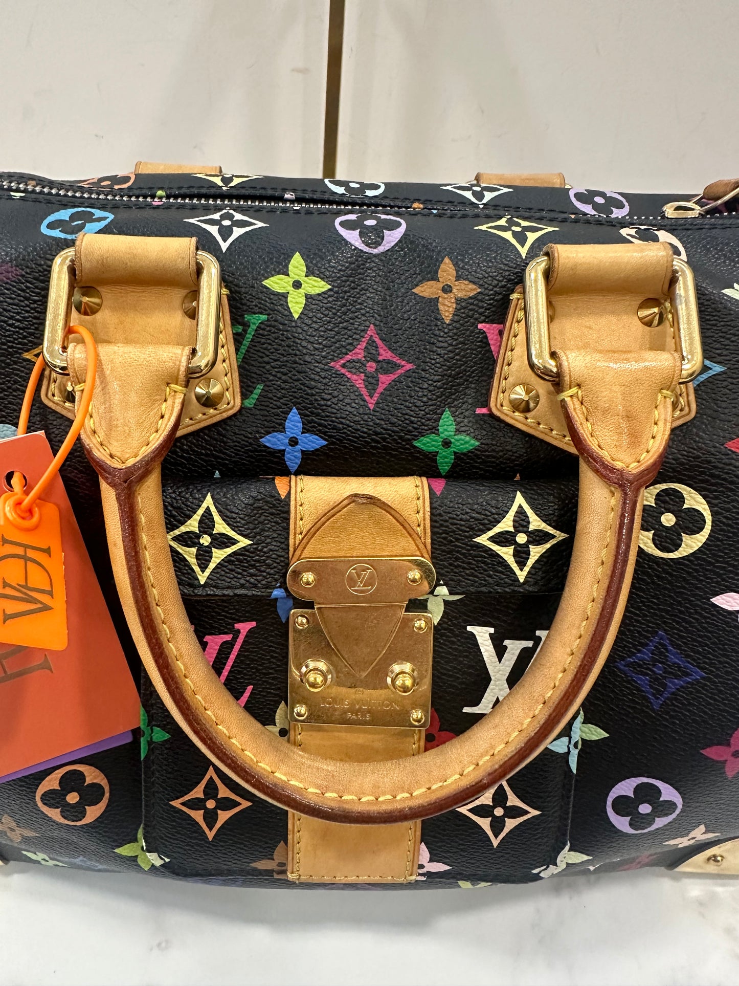 Louis Vuitton Speedy 30 Multicolor