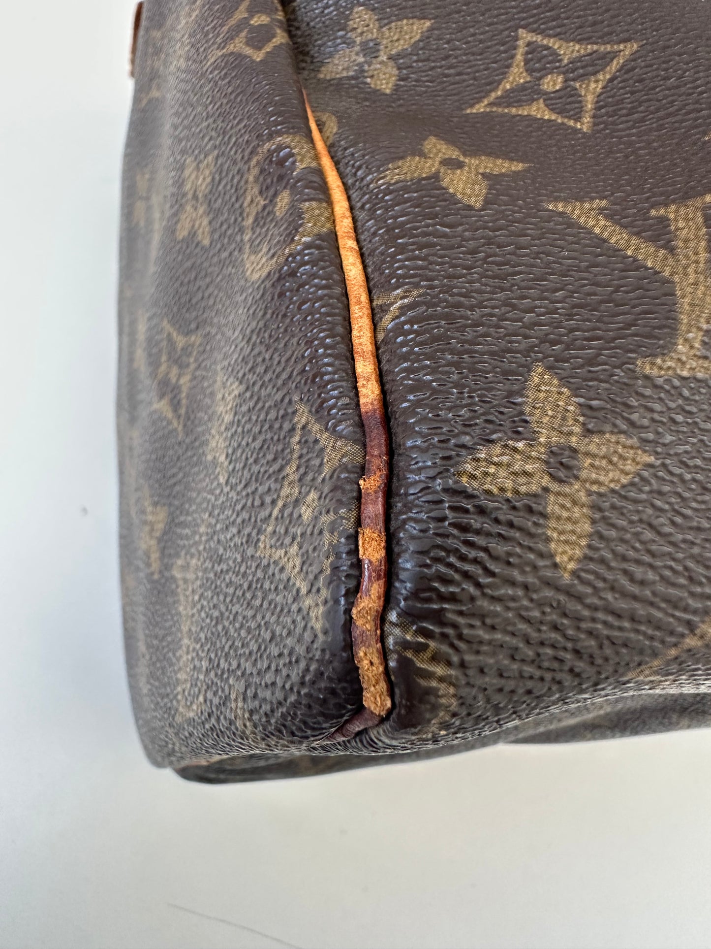 Louis Vuitton Speedy 30