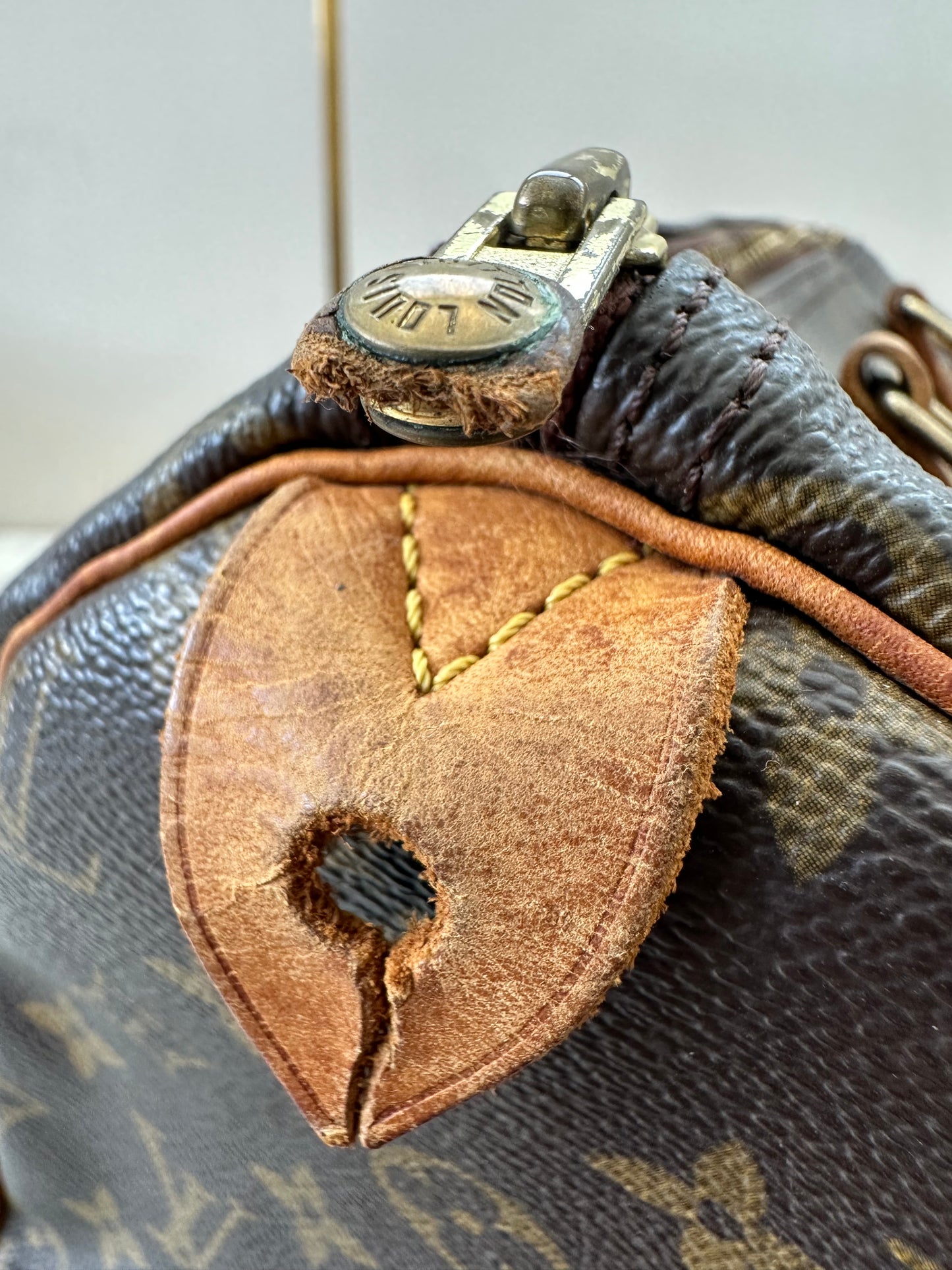 Louis Vuitton Speedy 30