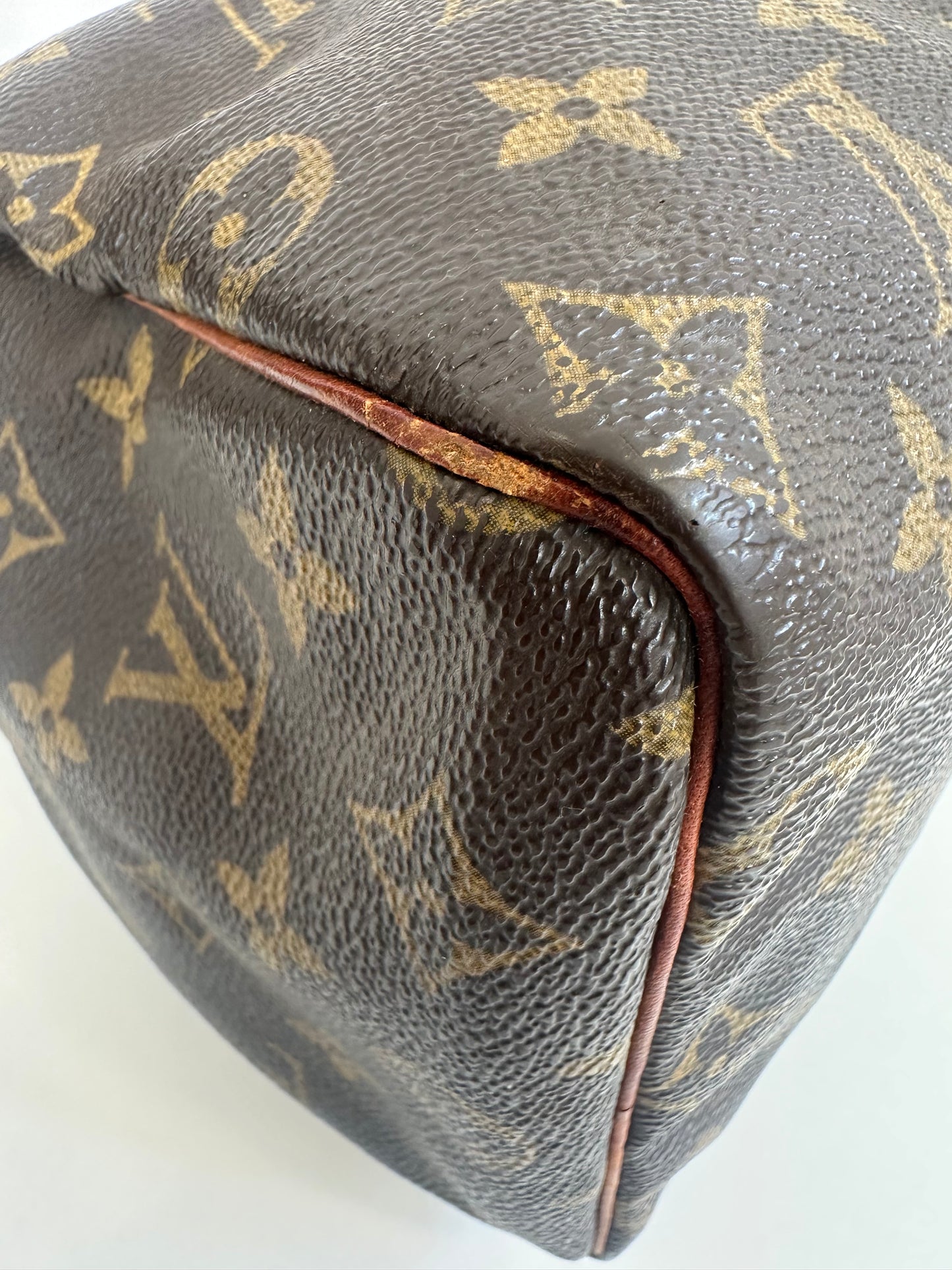 Louis Vuitton Speedy 25