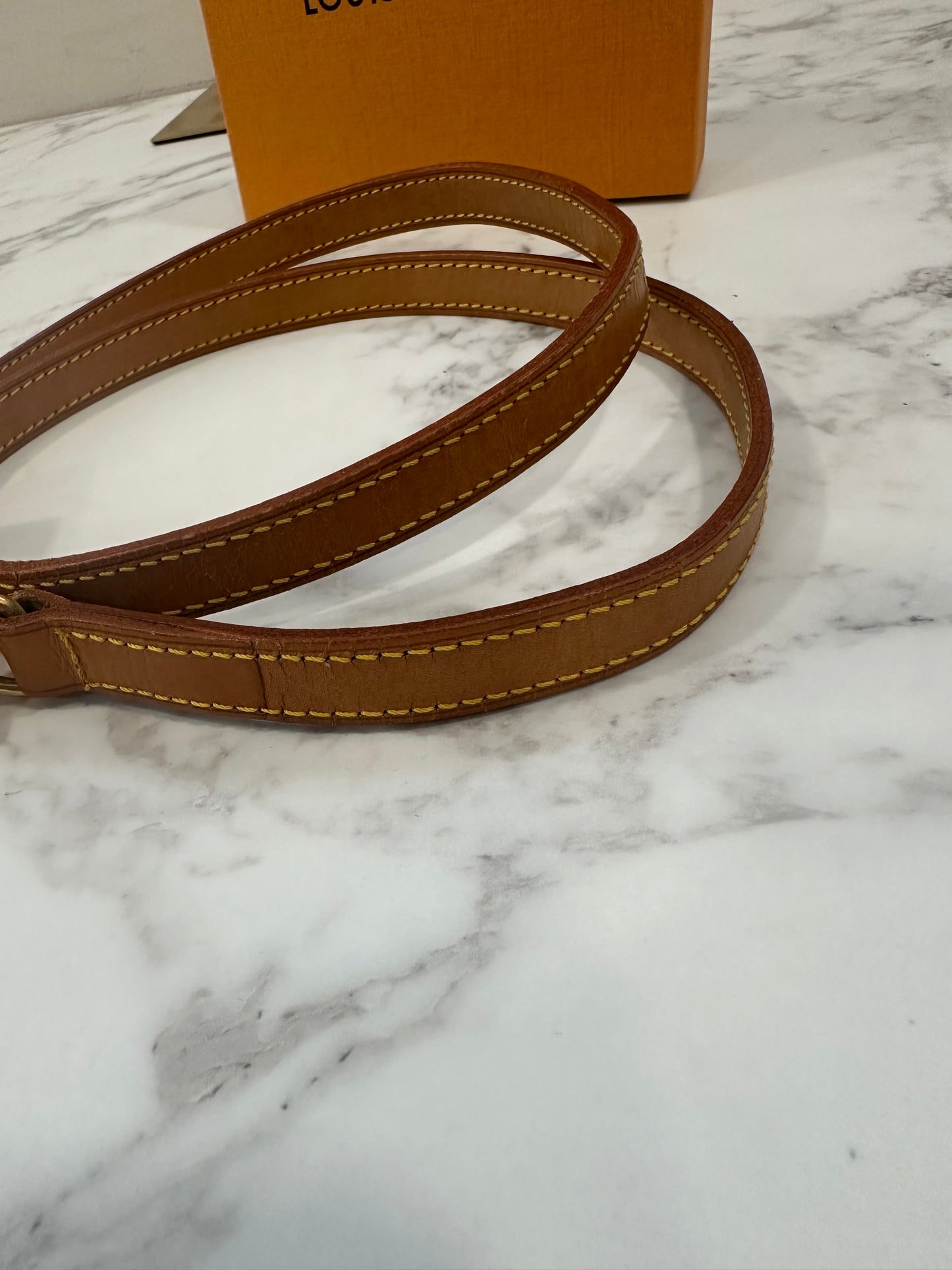 Louis Vuitton Tracolla