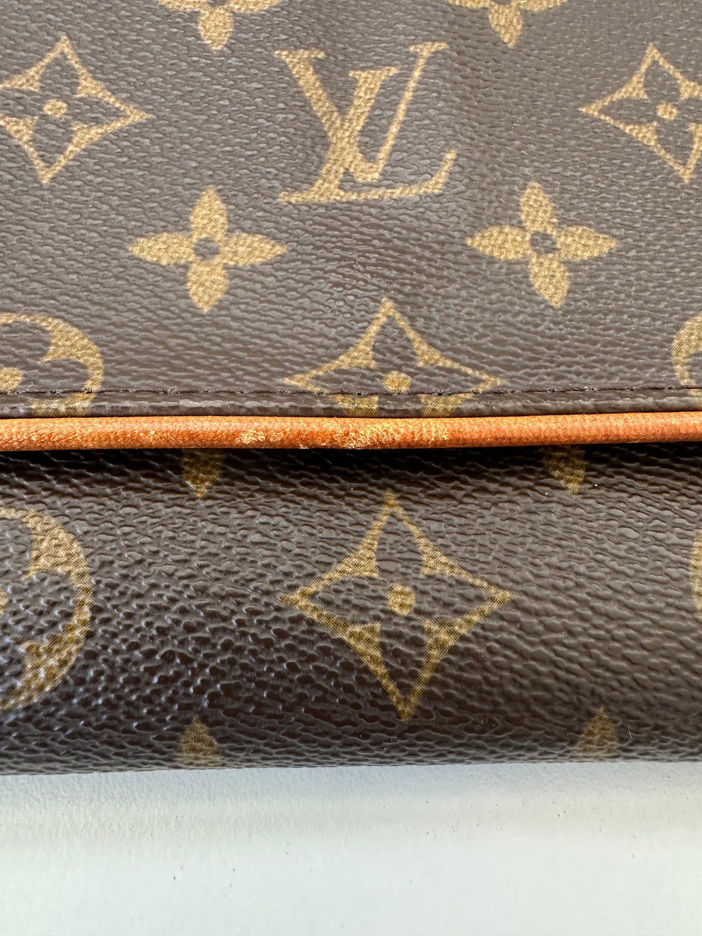 Louis Vuitton Pochette Twin GM