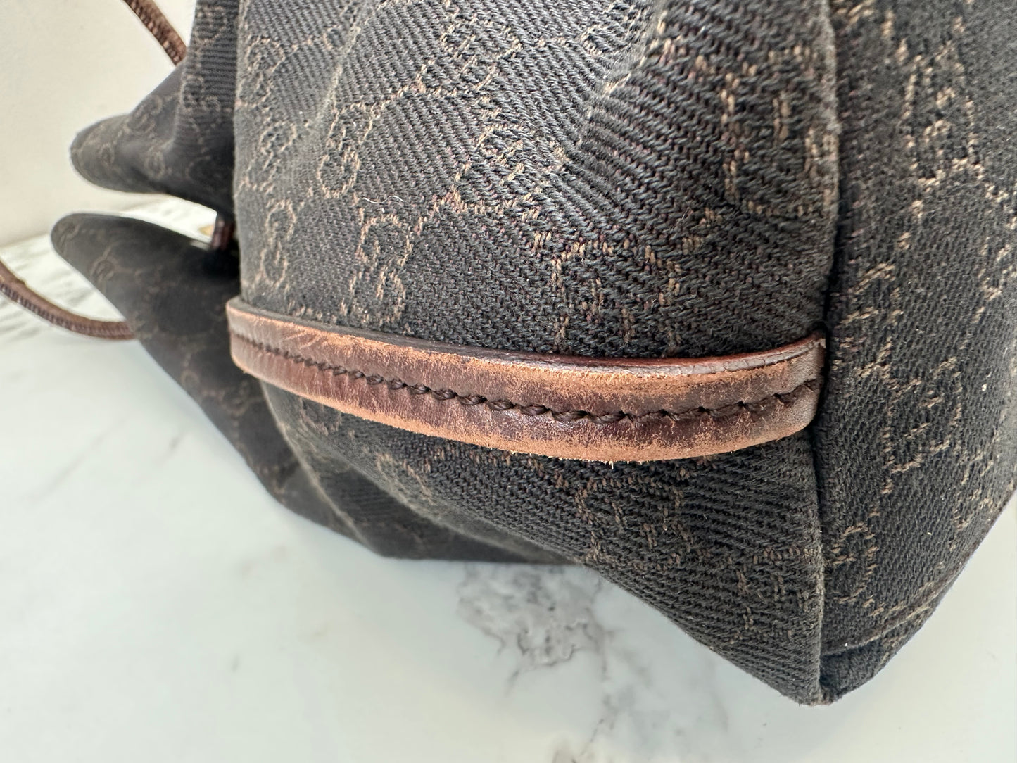 Gucci GG Canvas