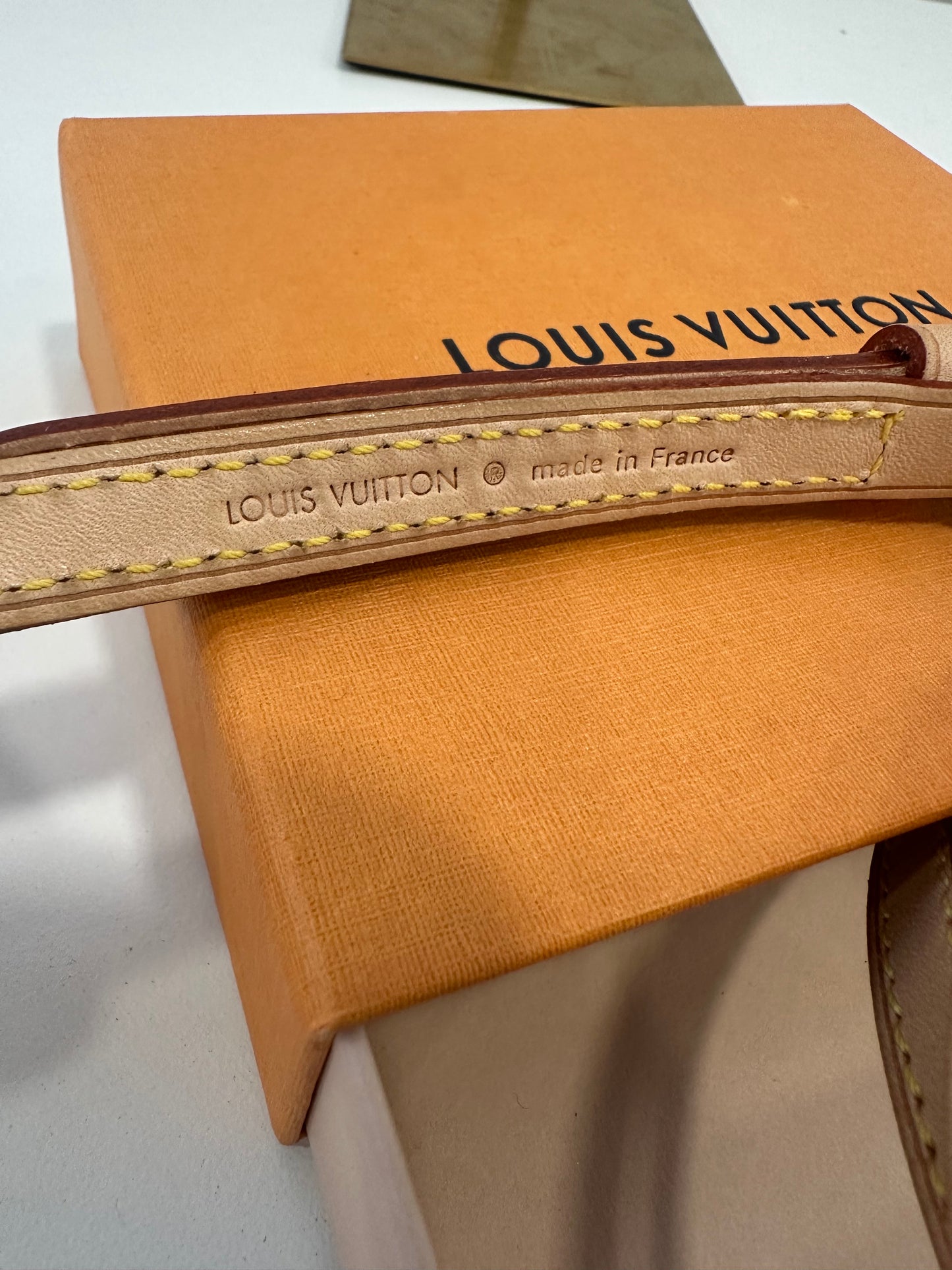 Louis Vuitton Tracolla