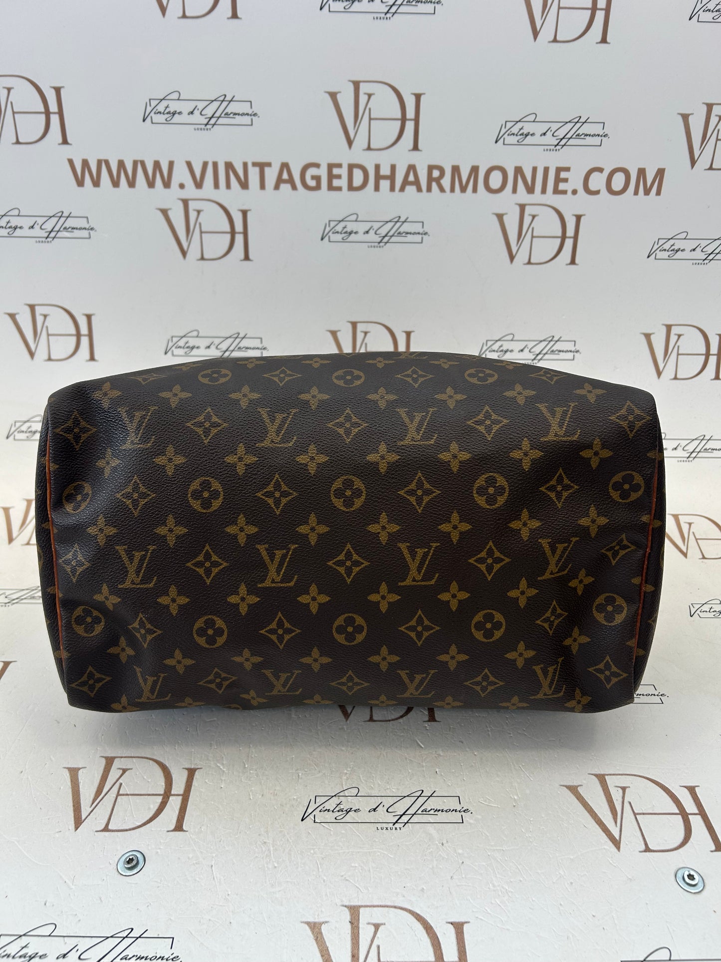 018315 - Louis Vuitton Speedy