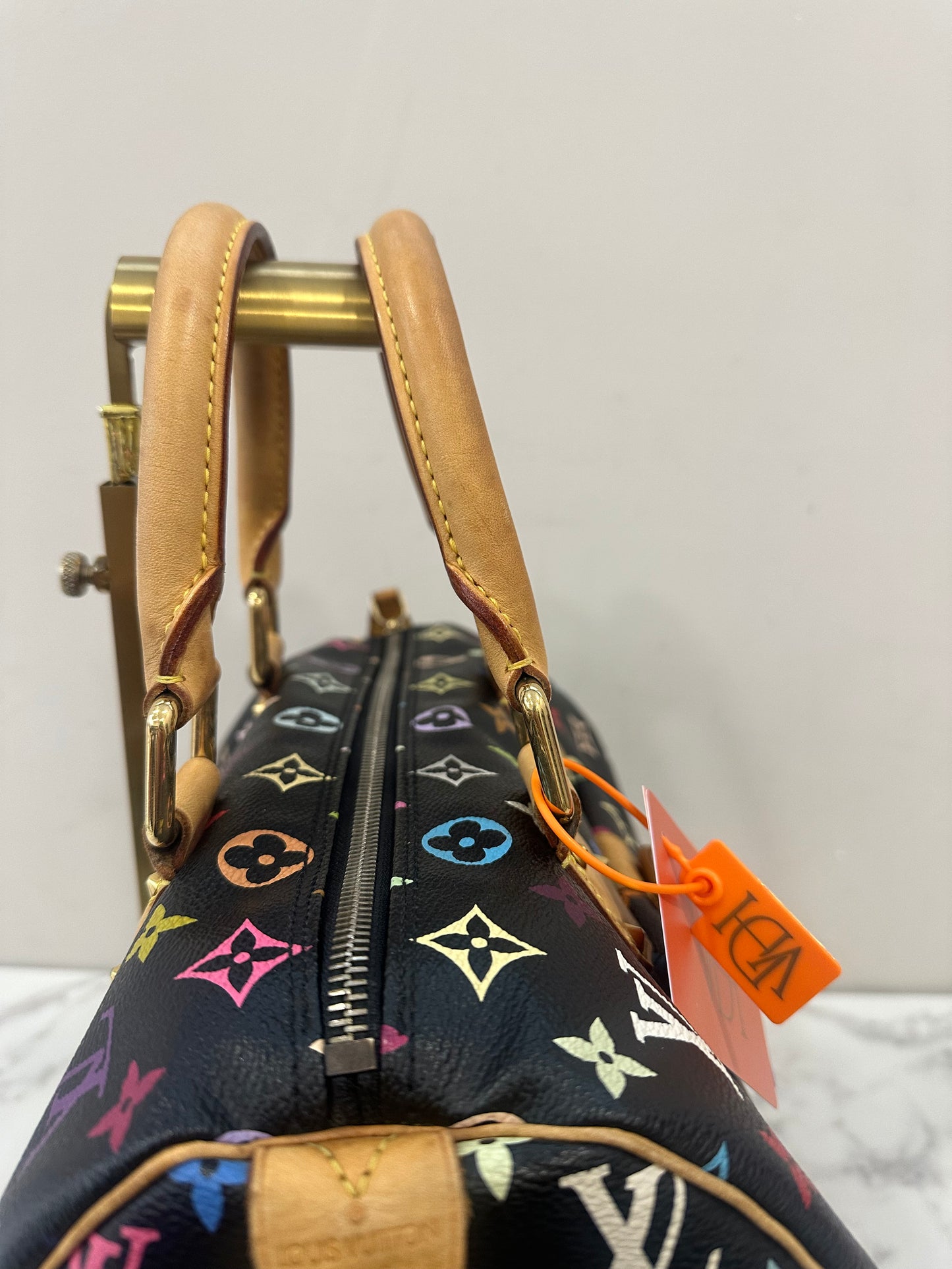 Louis Vuitton Speedy 30 Multicolor