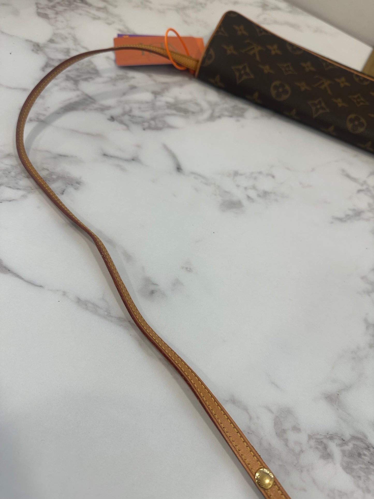 Louis Vuitton Pochette Twin GM