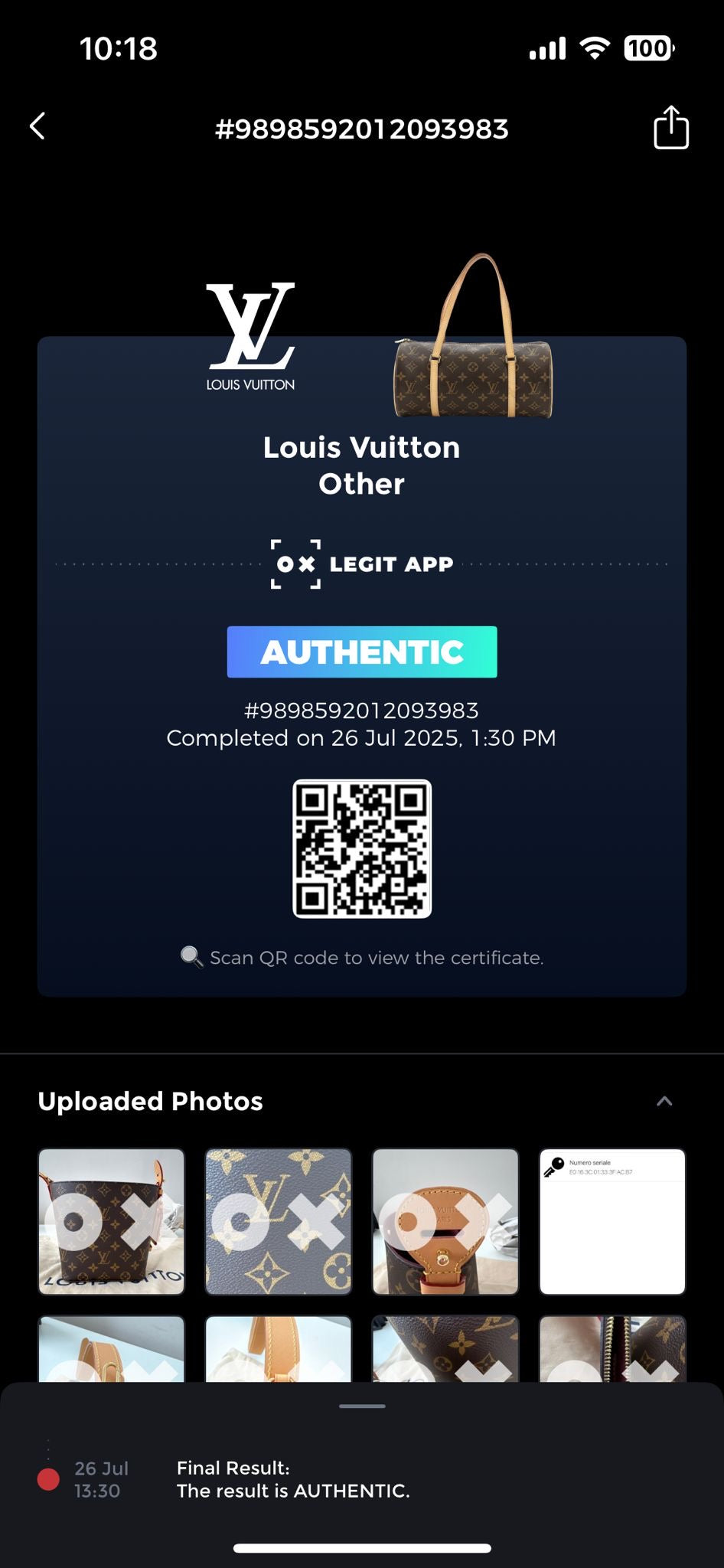 Louis Vuitton All in