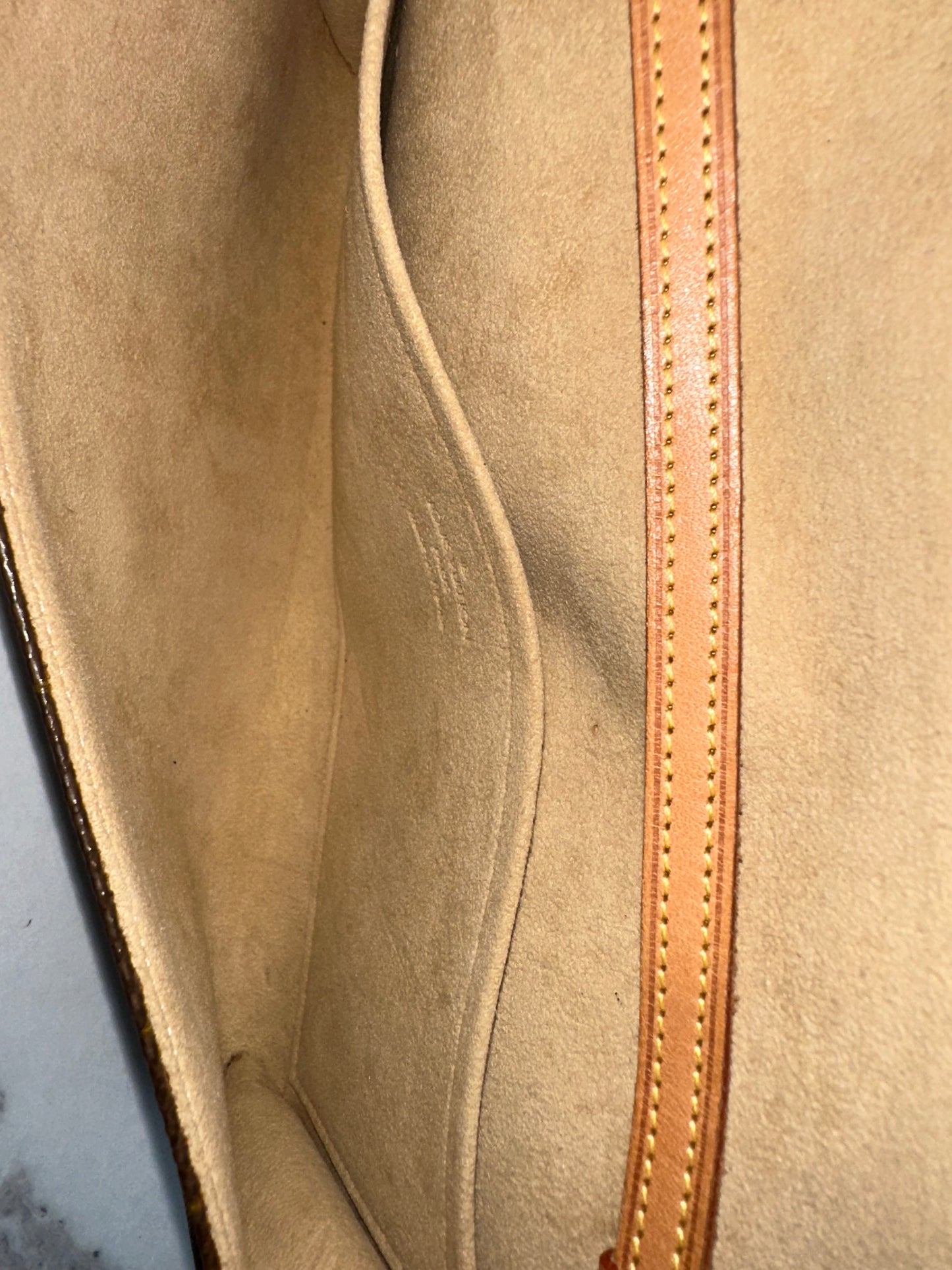 Louis Vuitton Pochette Twin GM