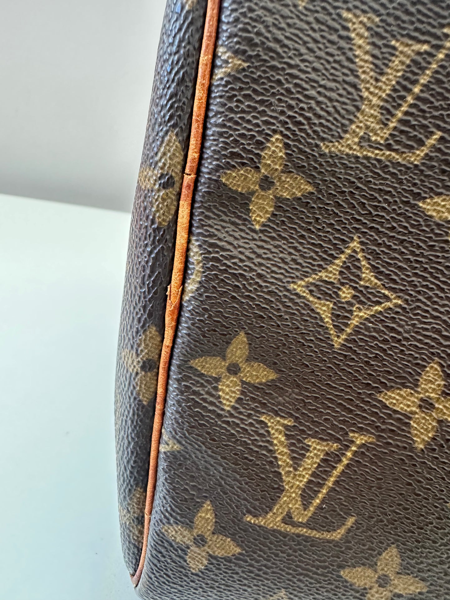 Louis Vuitton Speedy 30