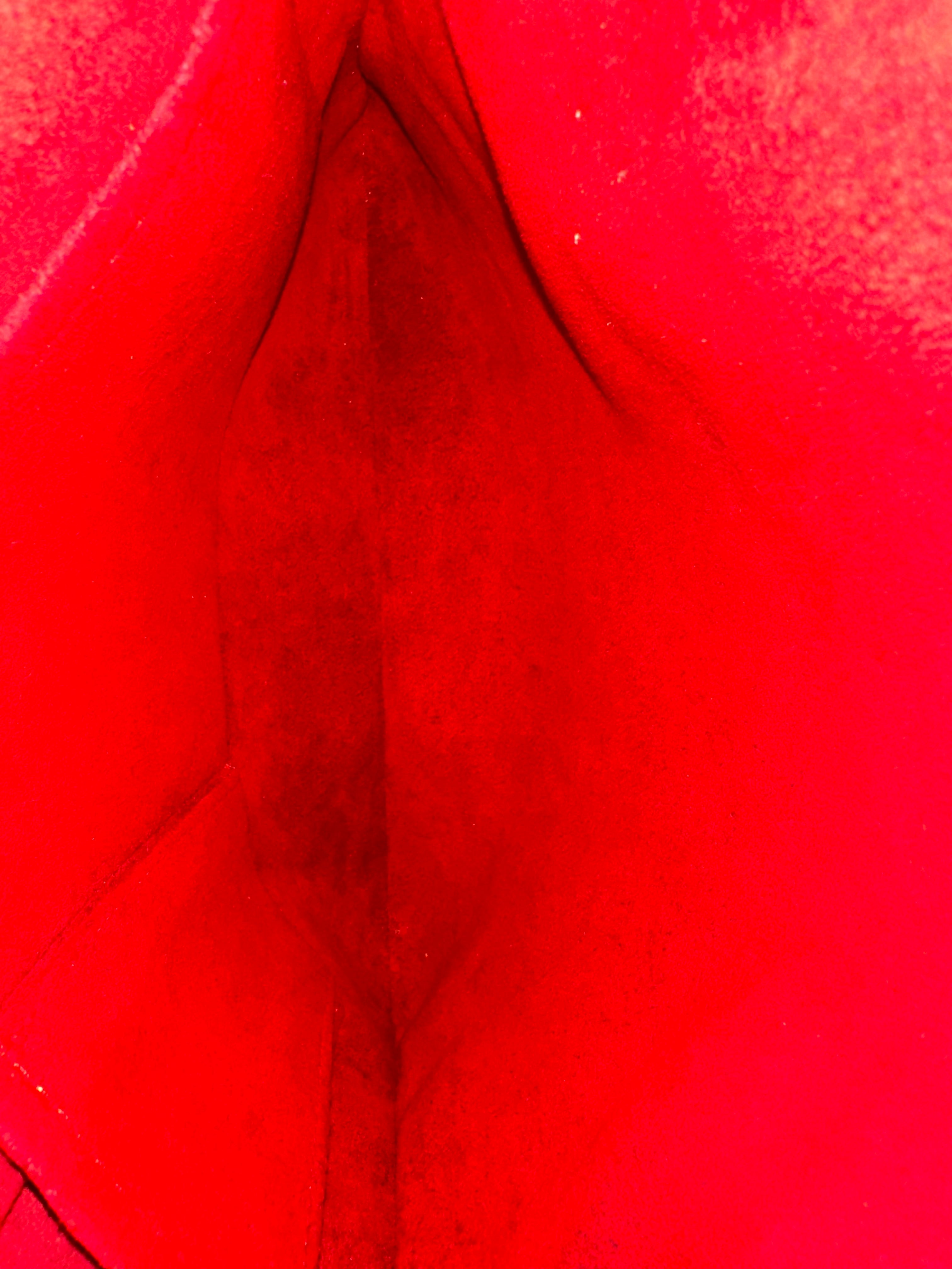 Louis Vuitton Coussin GM