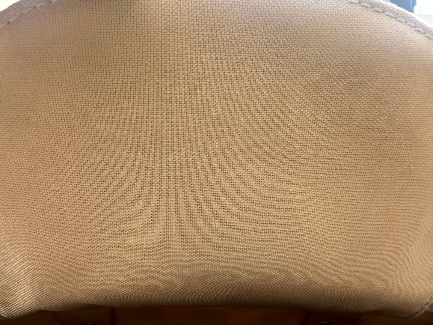Louis Vuitton Speedy 30 Azur