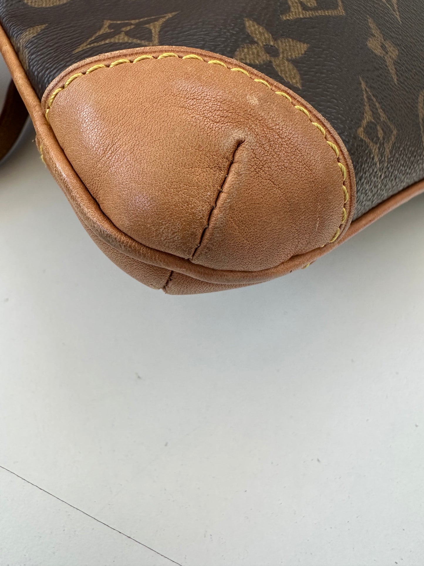 Louis Vuitton Coussin GM