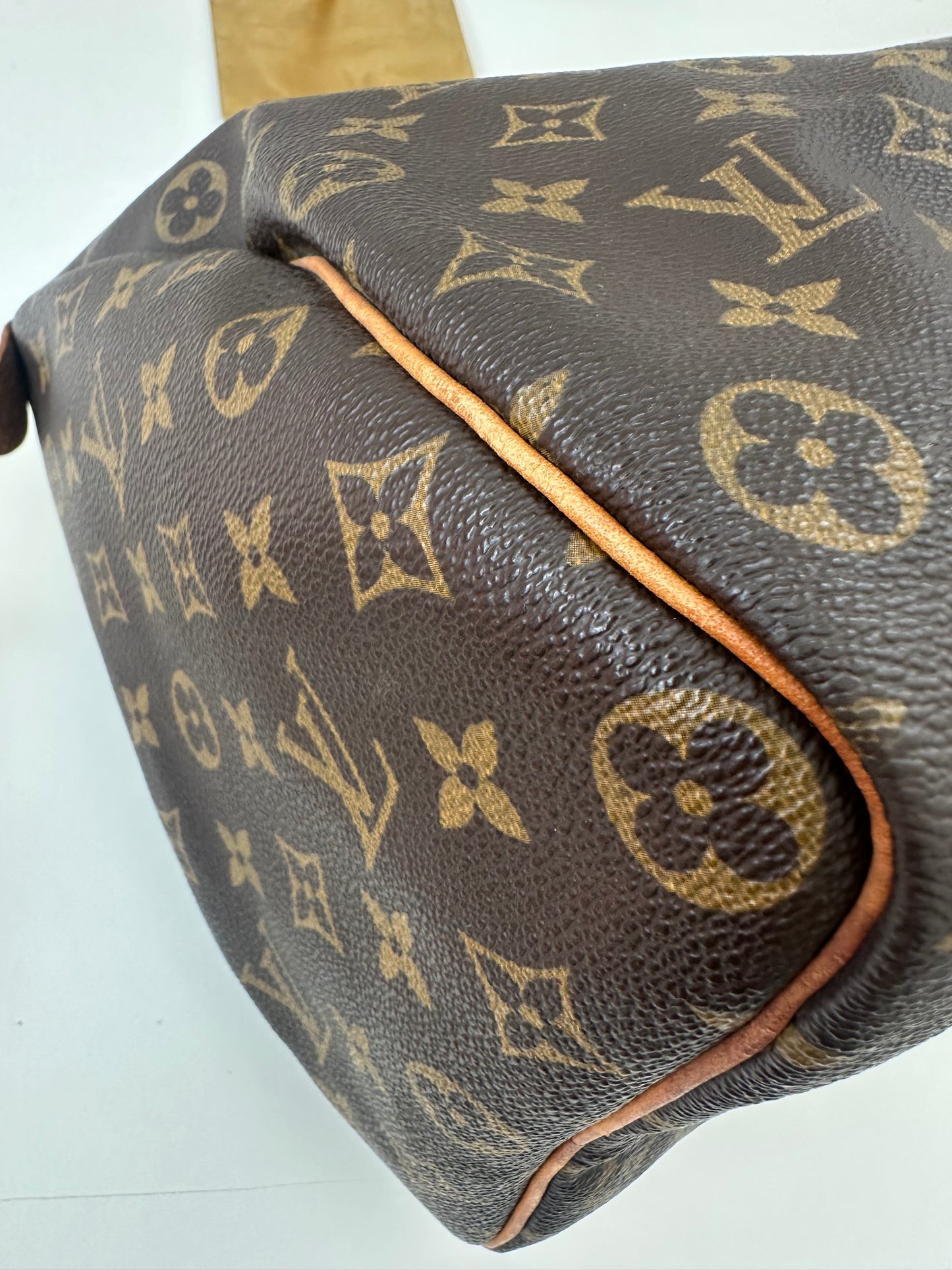 Louis Vuitton Speedy 35