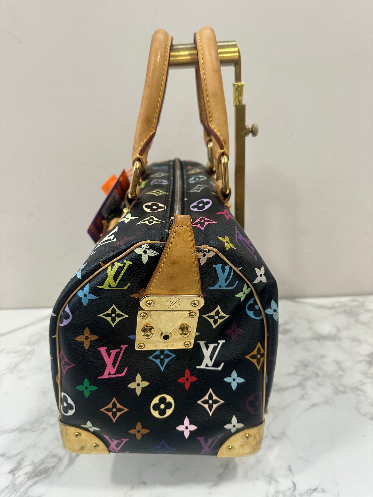 Louis Vuitton Speedy 30 Multicolor