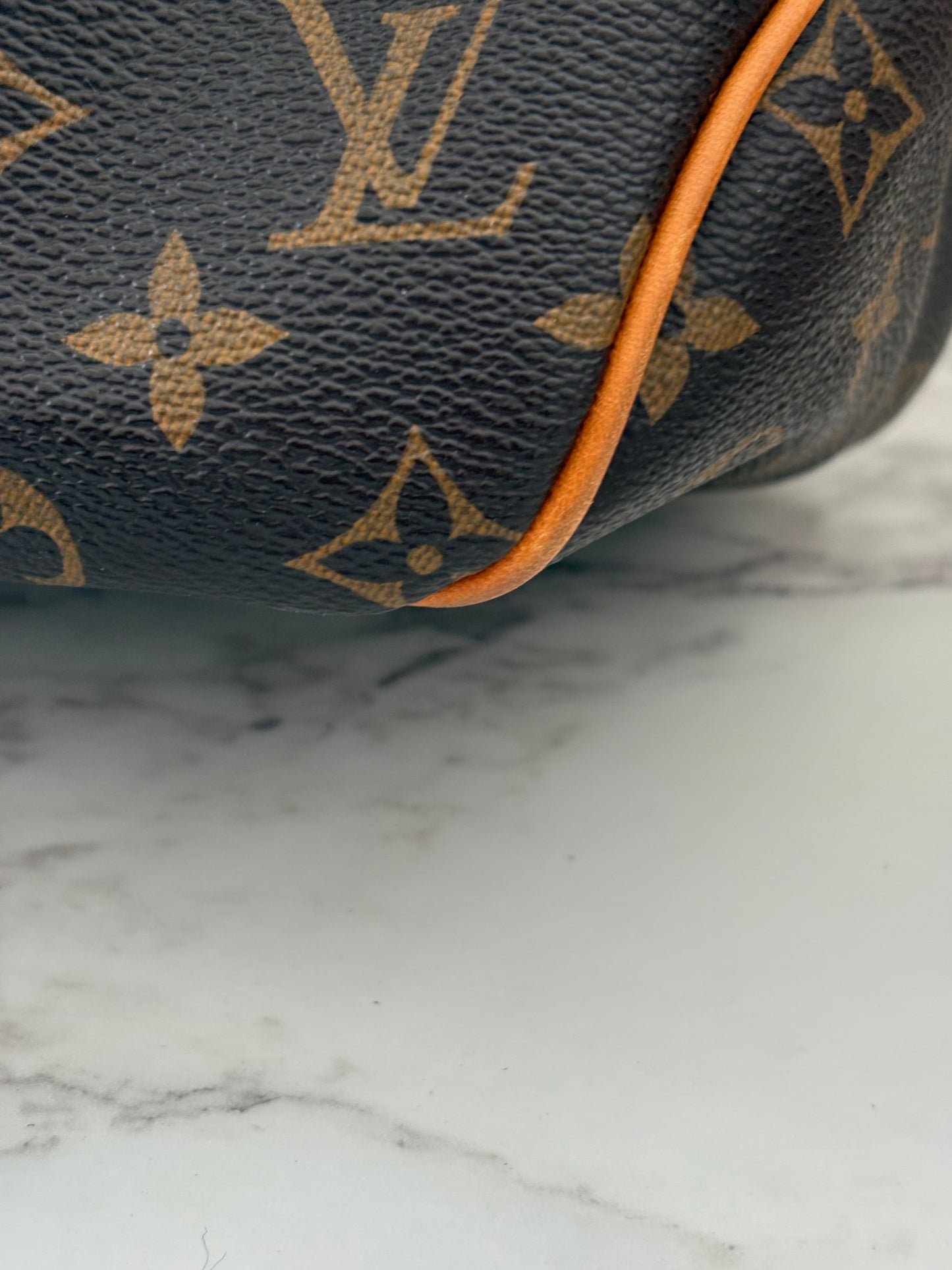 Louis Vuitton DelightFull PM