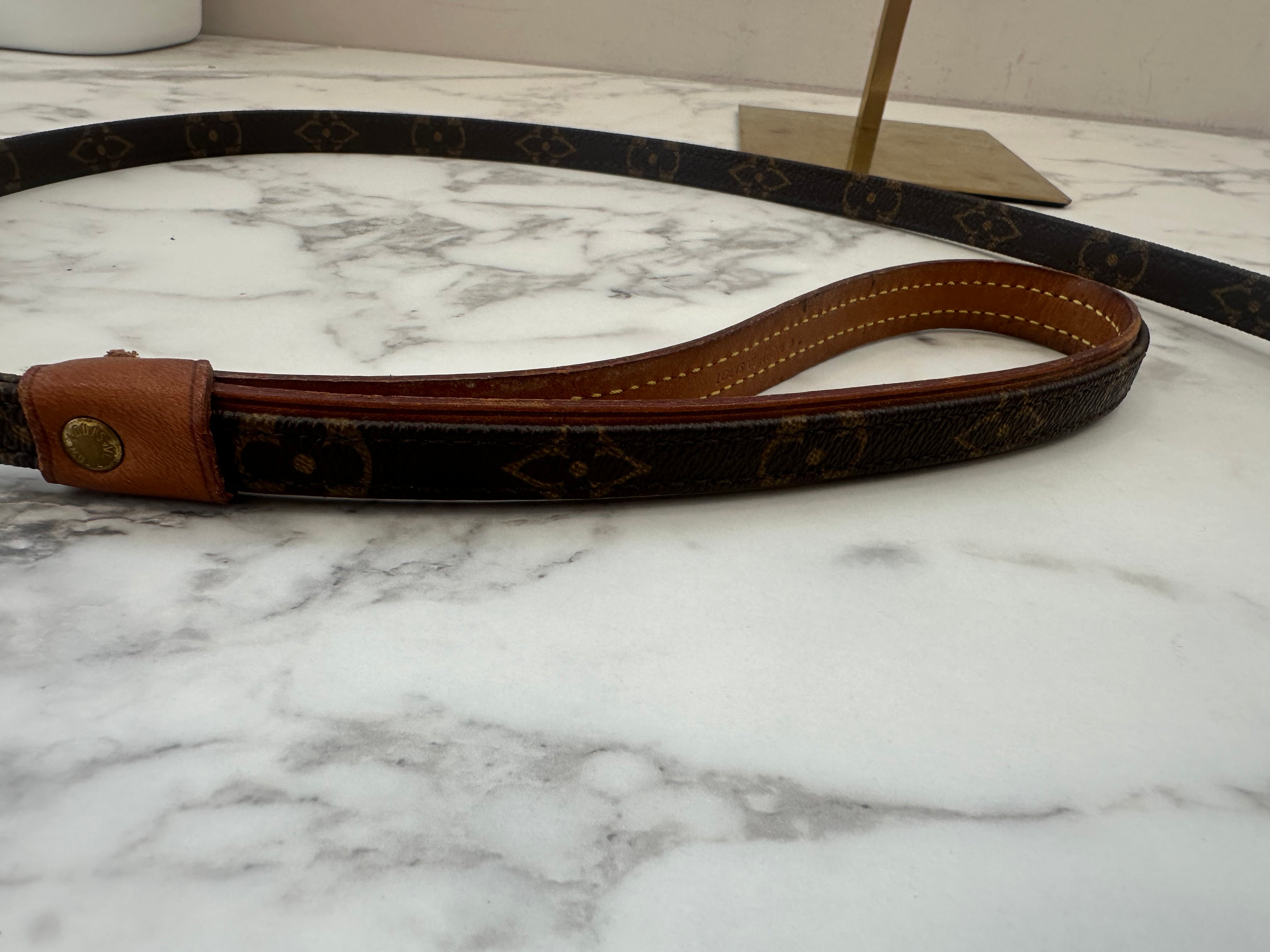 Louis Vuitton Collare+Guinzaglio