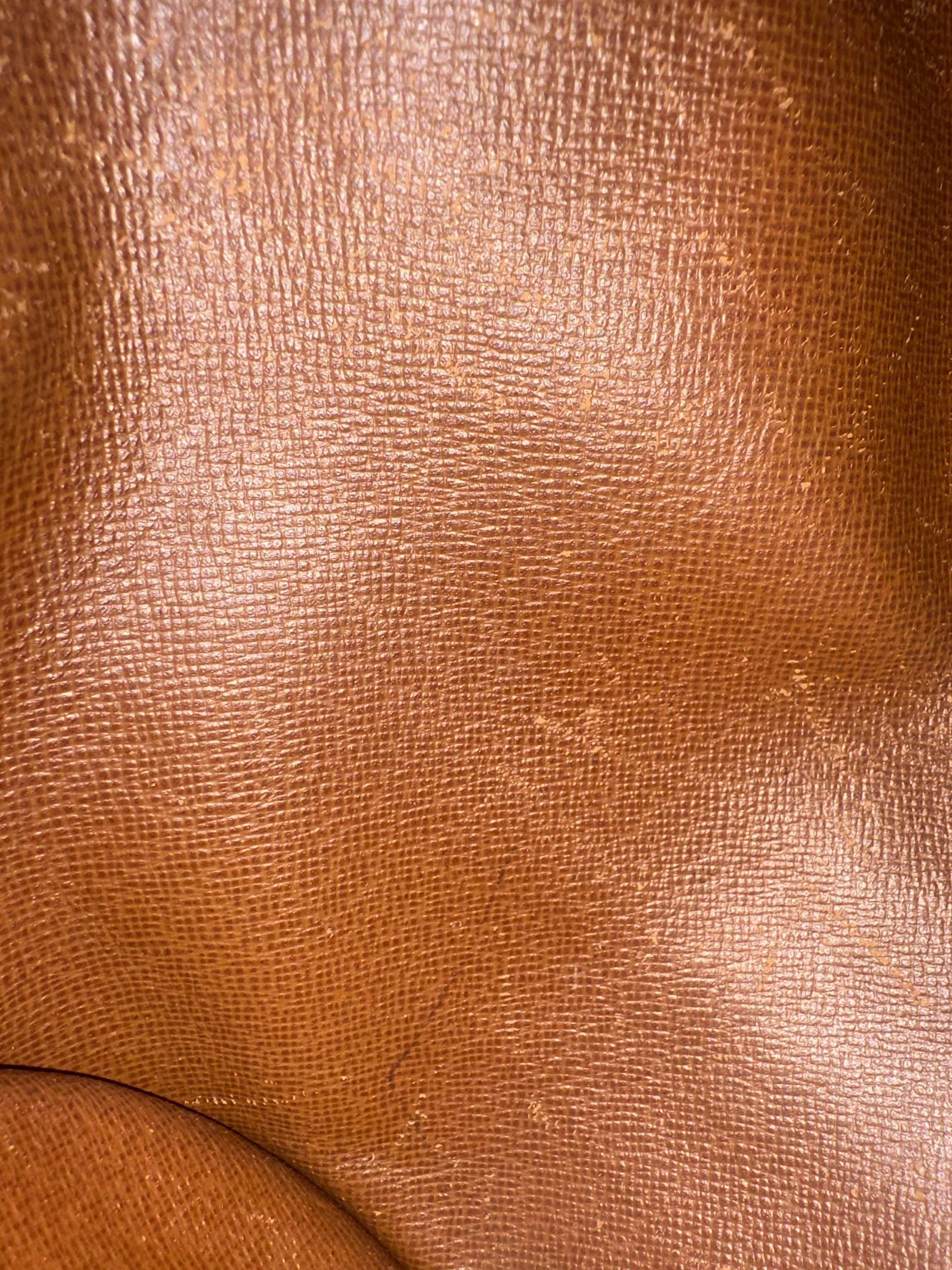 Louis Vuitton  Papillon 26