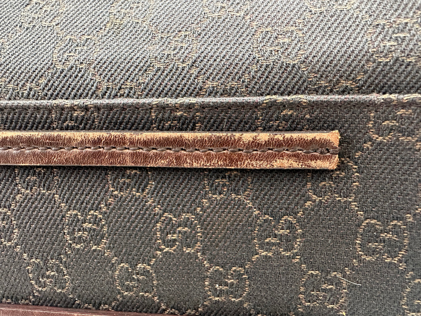 Gucci GG Canvas