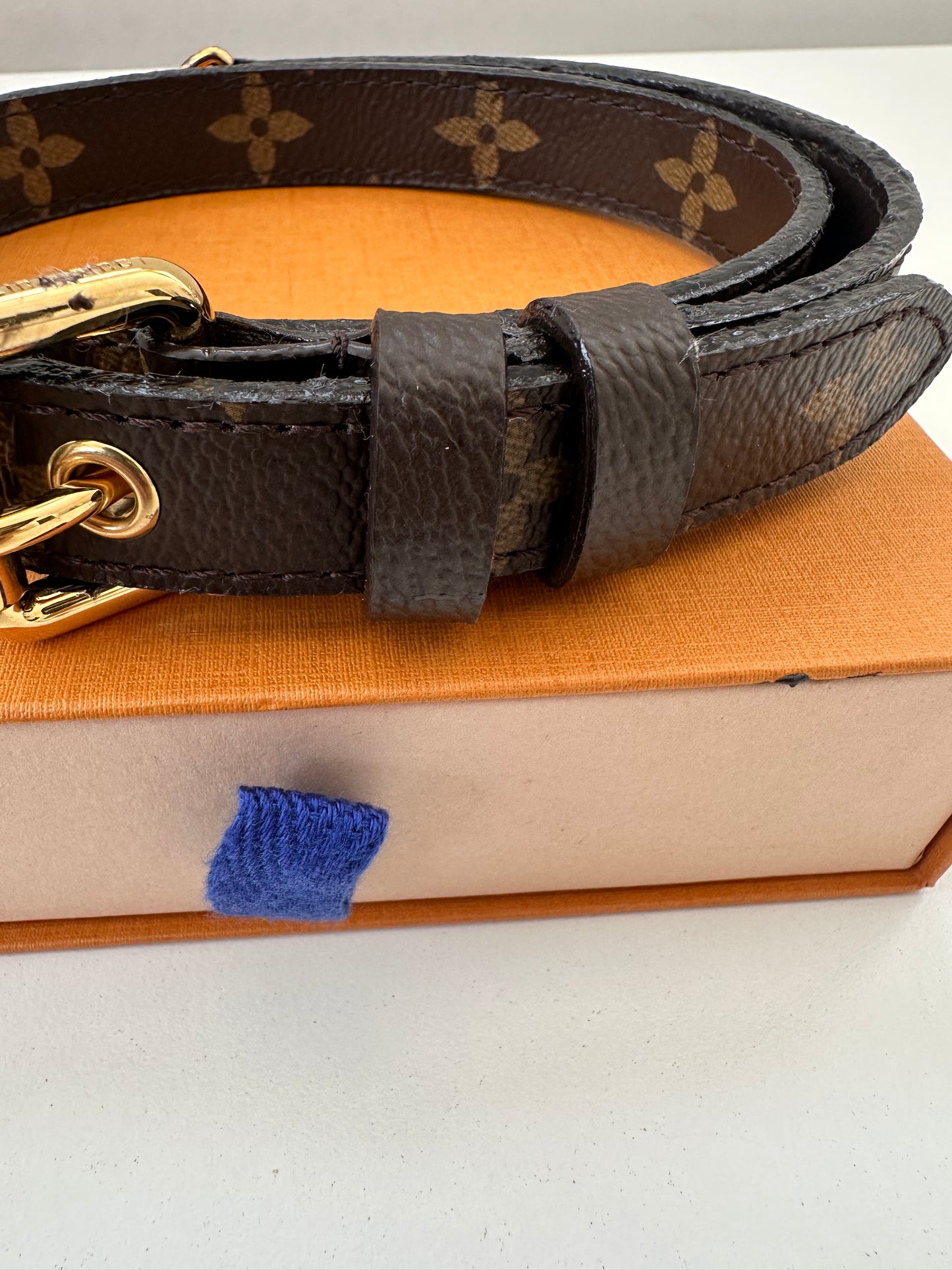 Louis Vuitton Strap Monogram