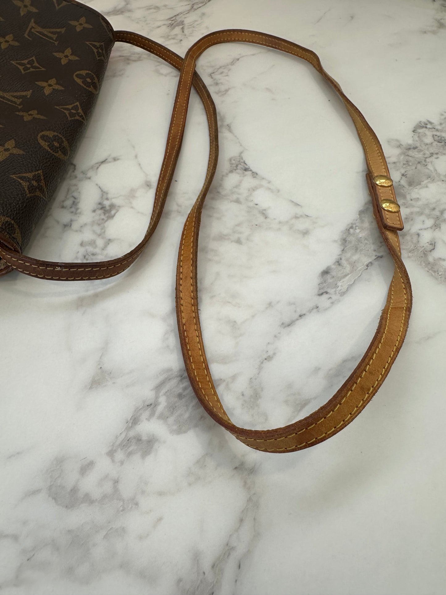 Louis Vuitton Pochette Twin GM