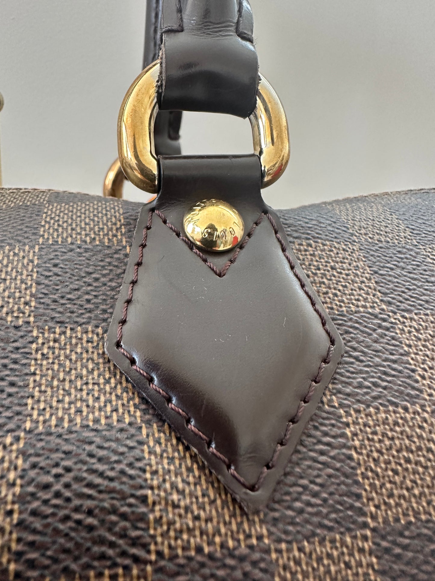 Louis Vuitton Saleya MM Damier