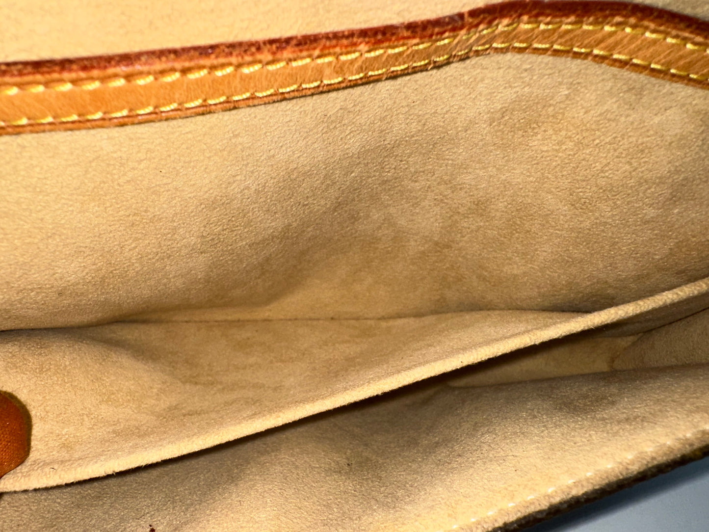 Louis Vuitton Pochette Twin GM