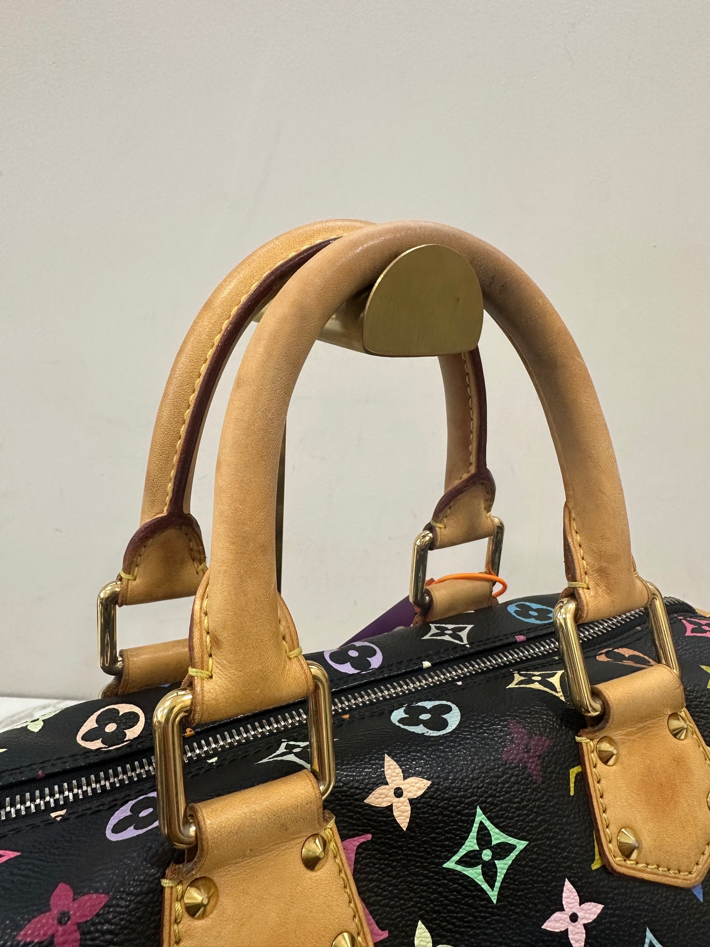 Louis Vuitton Speedy 30 Multicolor