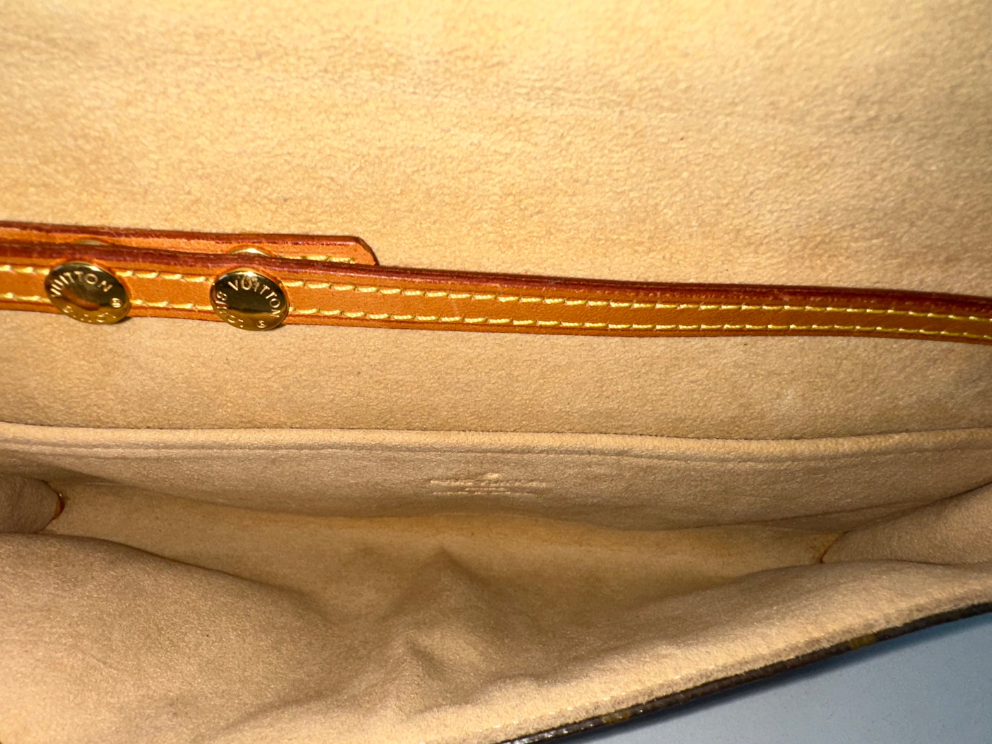 Louis Vuitton Pochette Twin GM