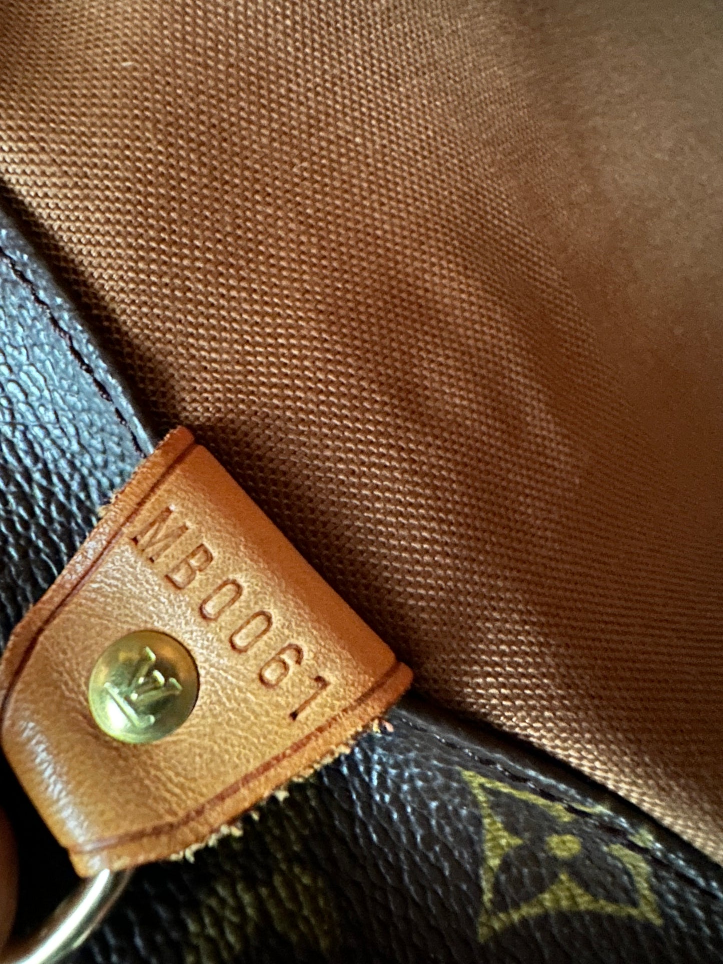 Louis Vuitton Sac Shopping