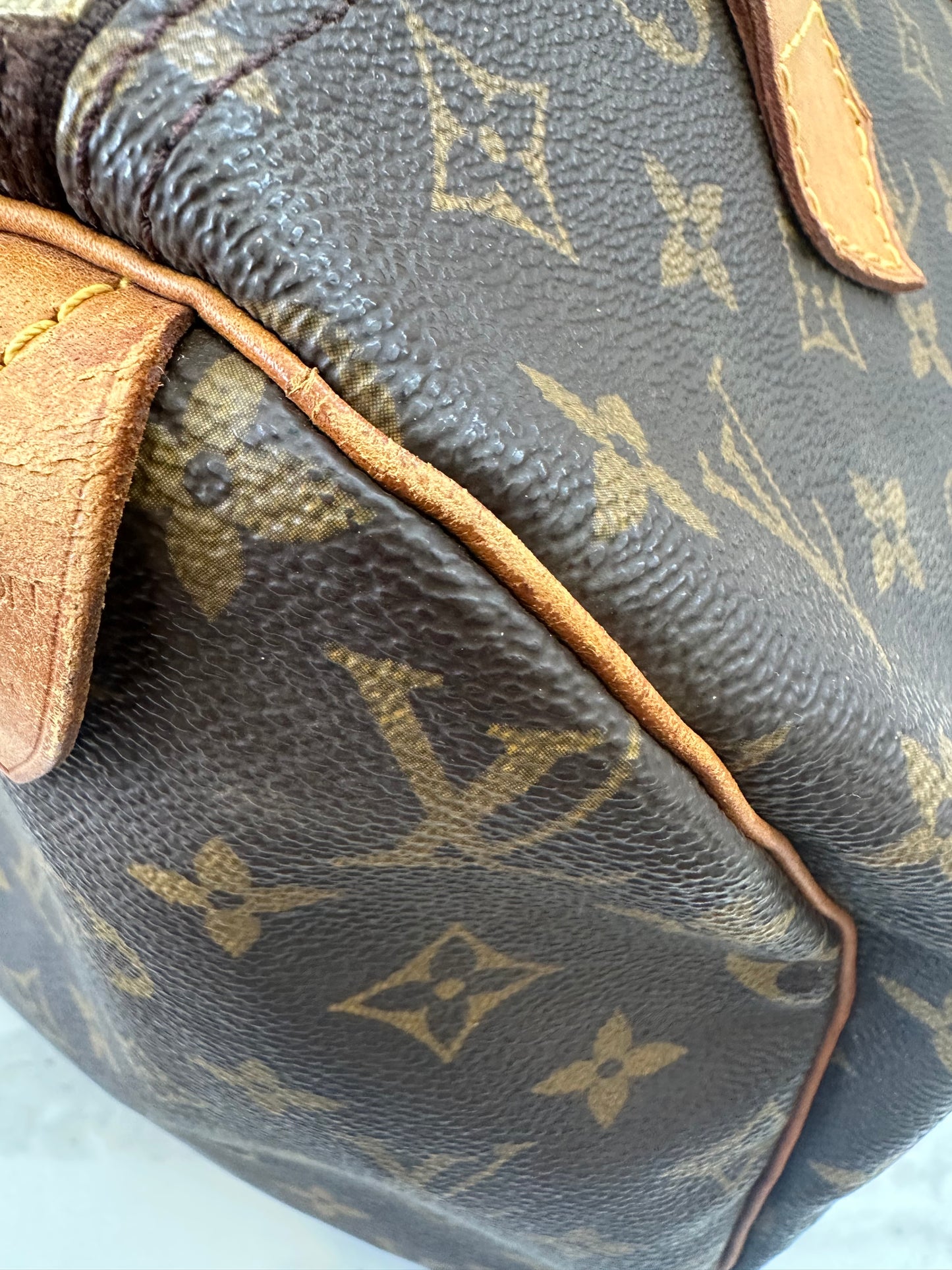 Louis Vuitton Speedy 30