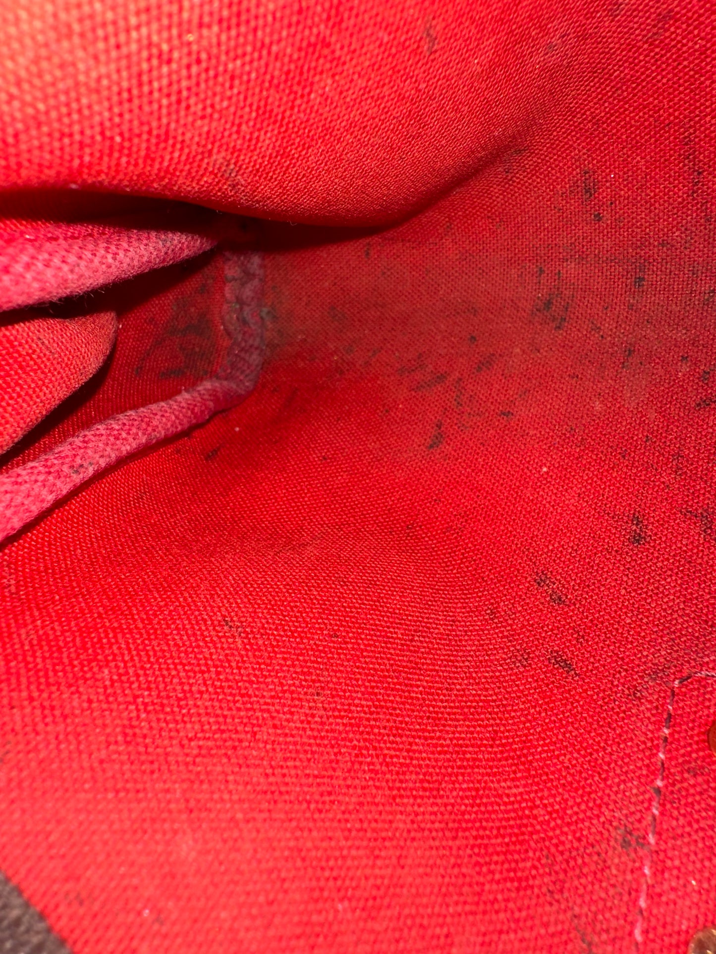 Louis Vuitton Eva