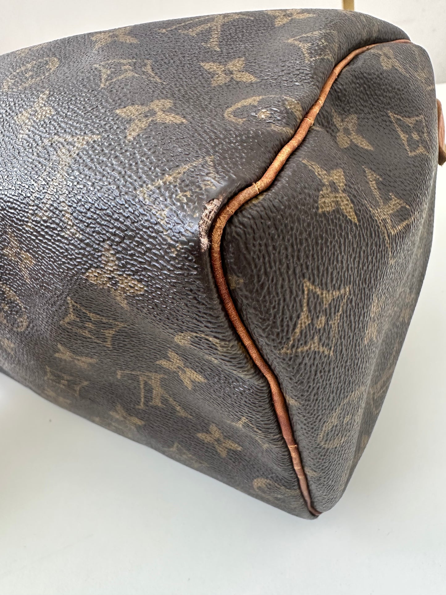 Louis Vuitton Speedy 25