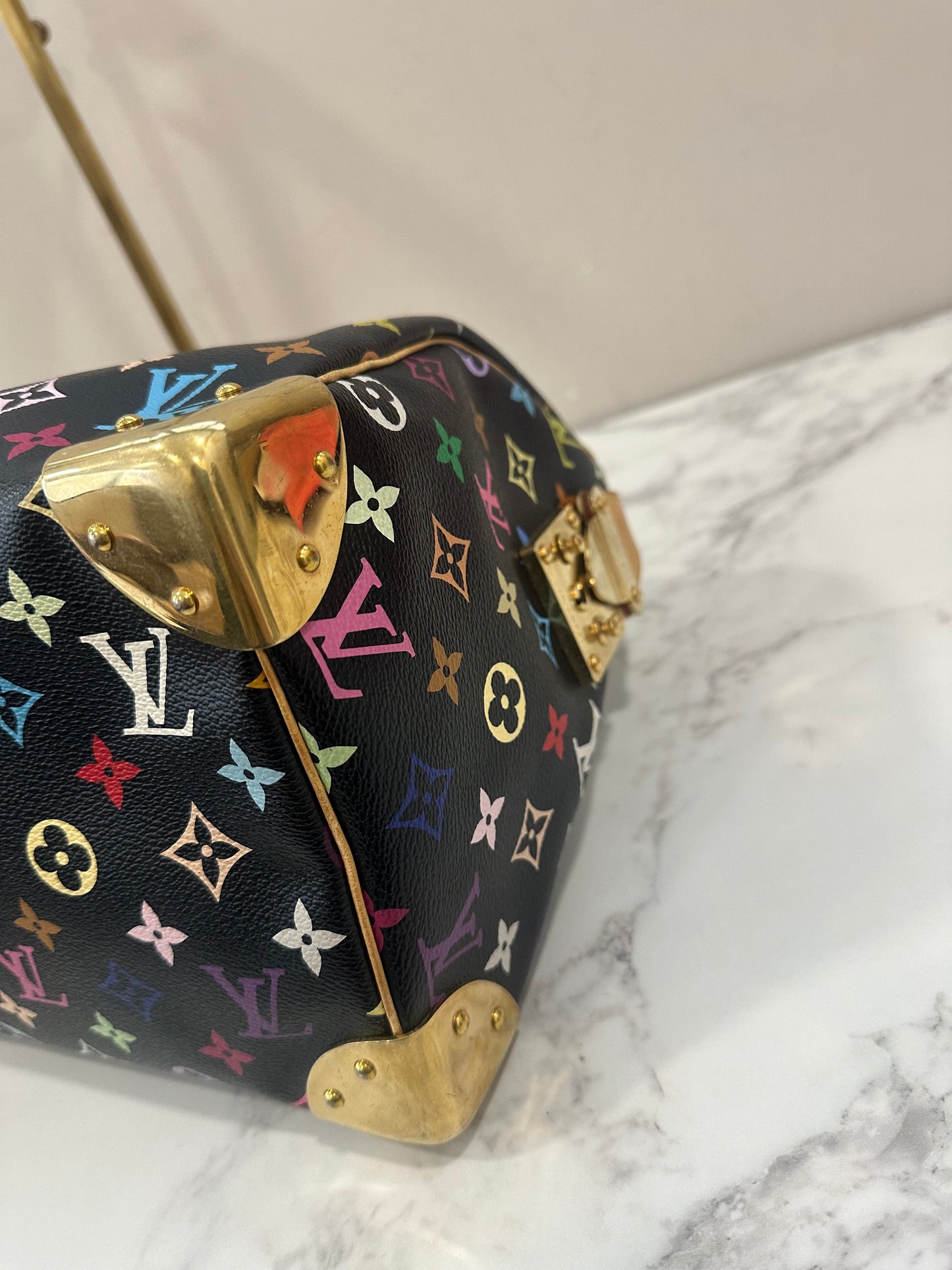 Louis Vuitton Speedy 30 Multicolor