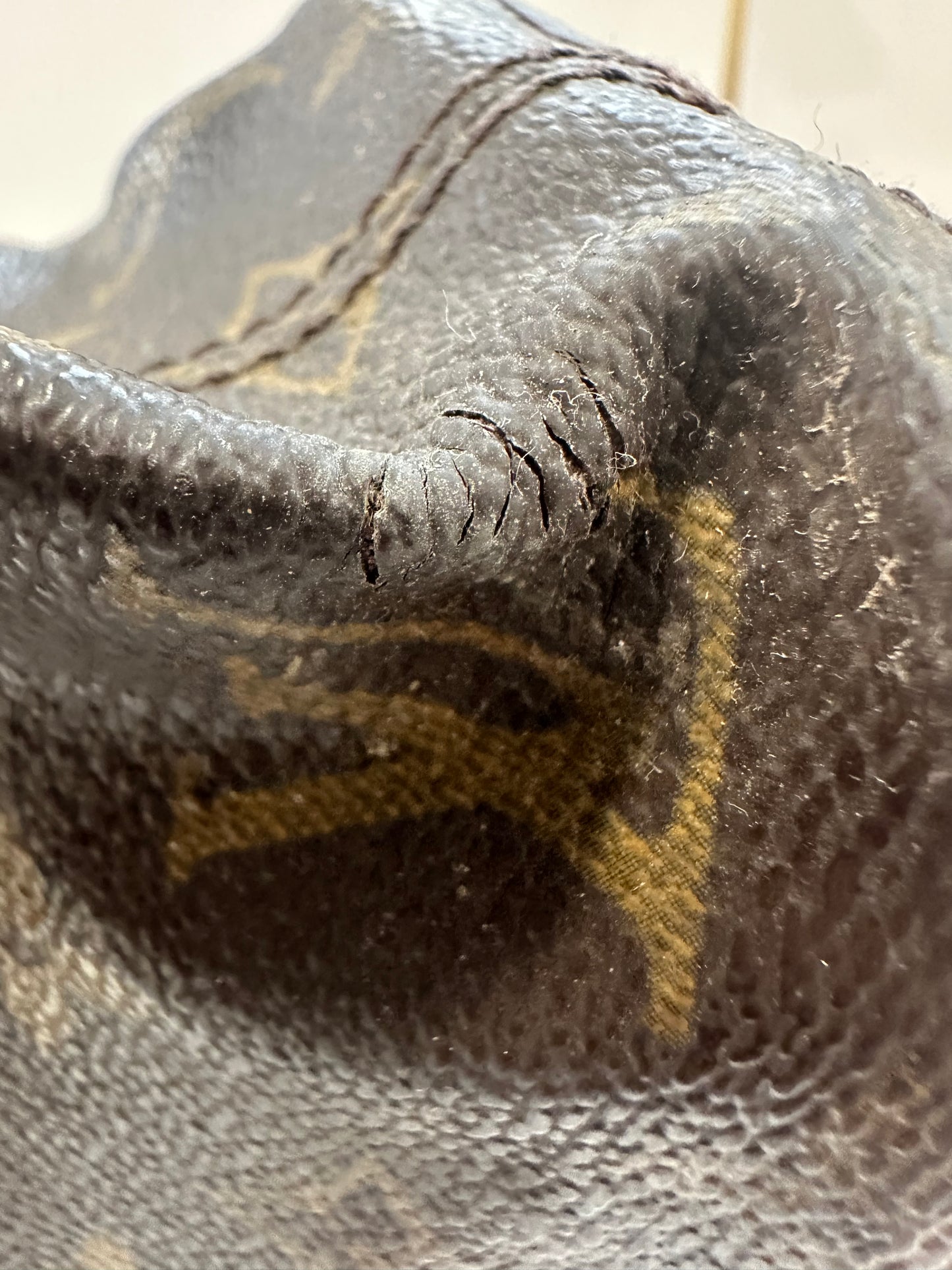 Louis Vuitton Luco