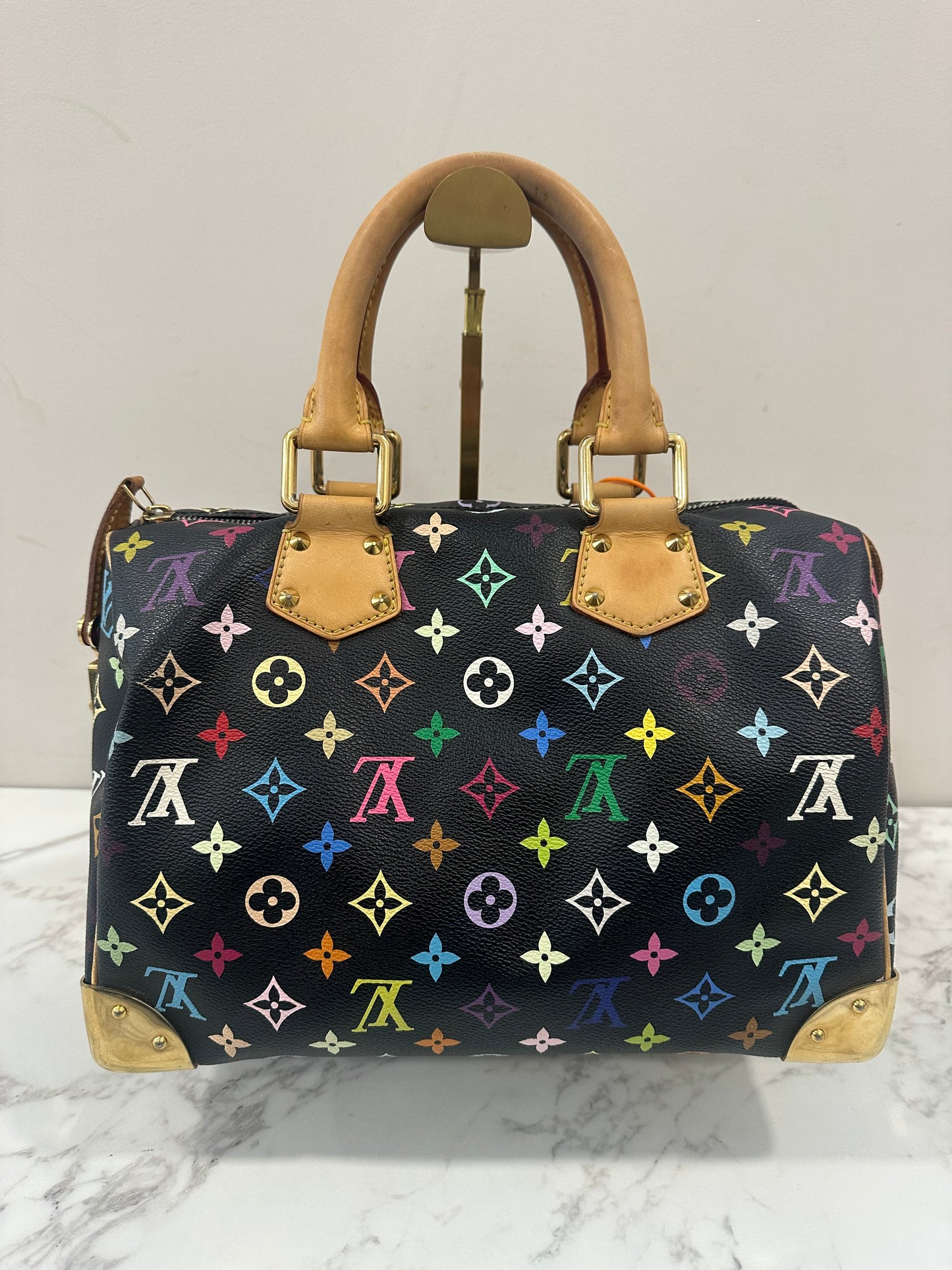 Louis Vuitton Speedy 30 Multicolor