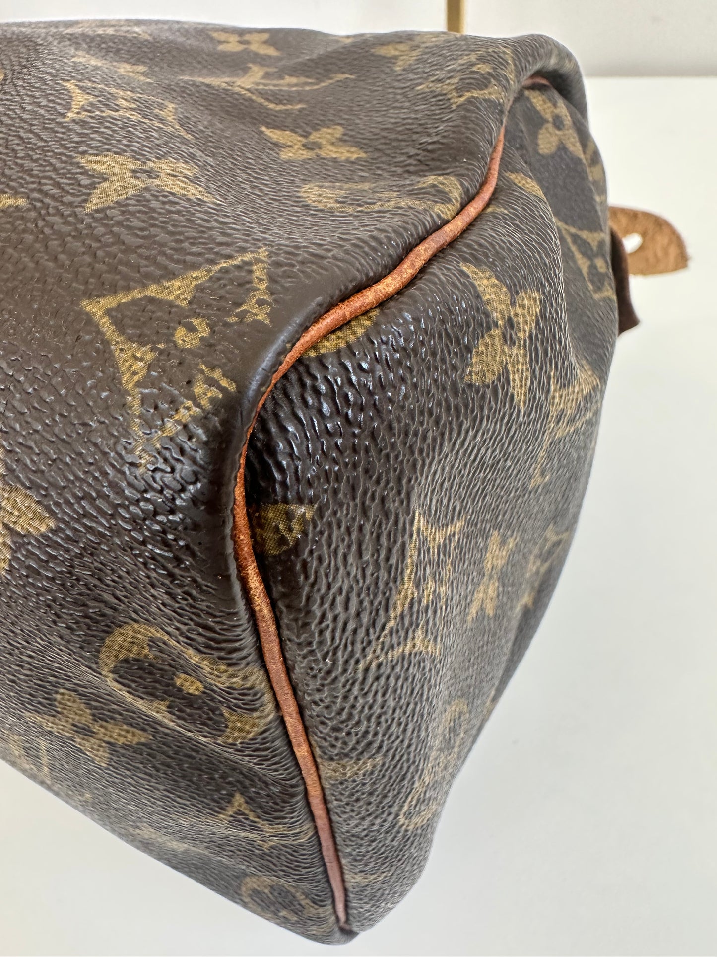 Louis Vuitton Speedy 25